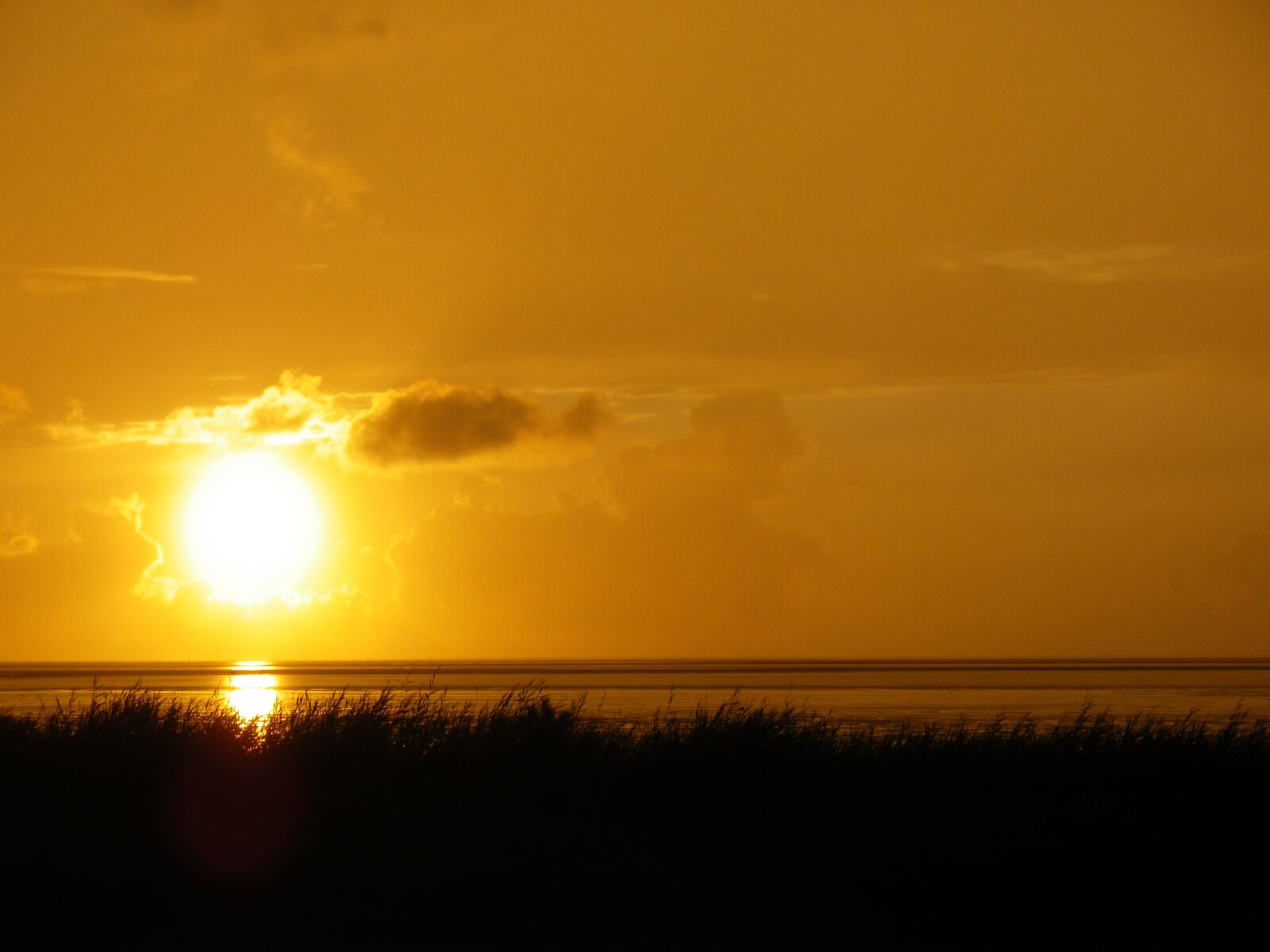 Pentax Optio M50 sample photo. Sunset, sea, north sea photography
