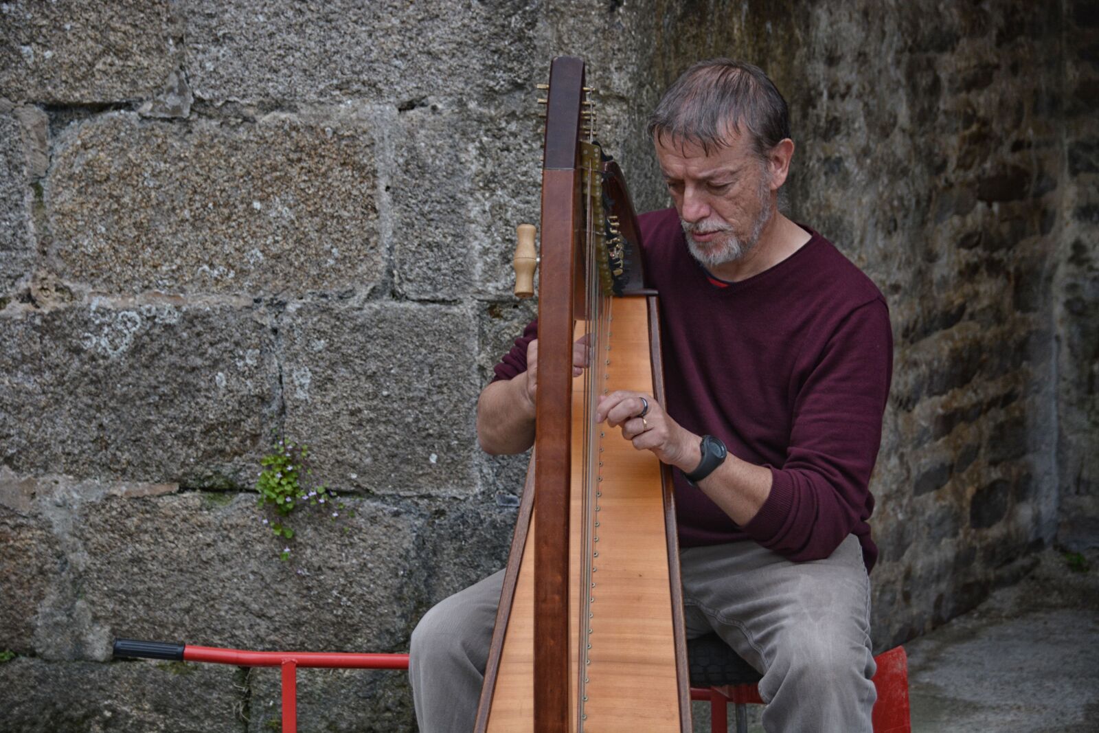 Nikon D5200 sample photo. Concert, harpe, harpiste, homme photography