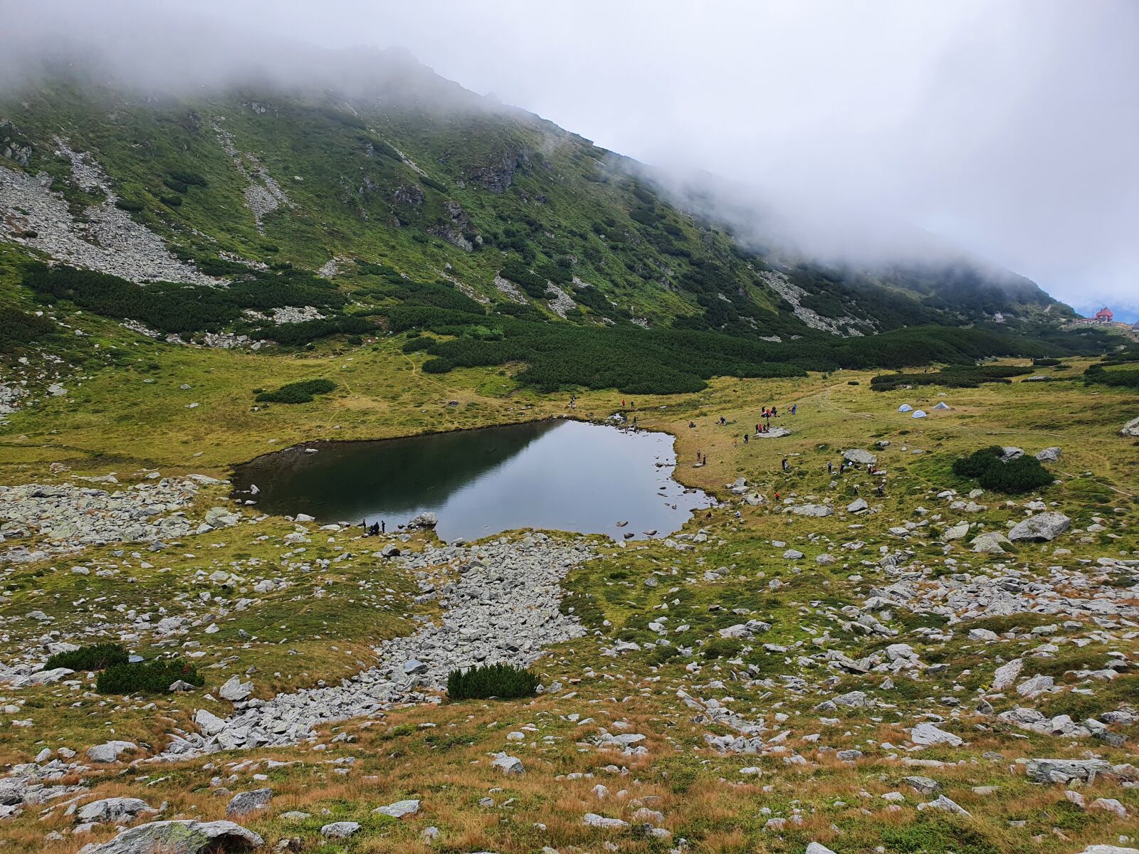 Samsung SM-G973F sample photo. Nature, lake, fog photography