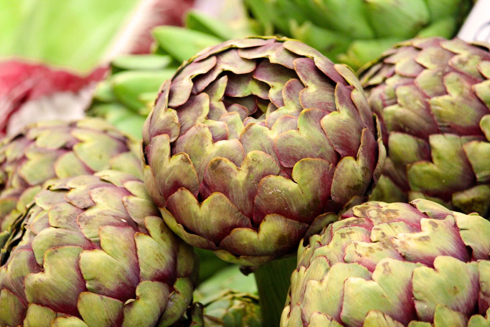 Canon EF-S 55-250mm F4-5.6 IS STM sample photo. Artichoke, vegetables, market photography