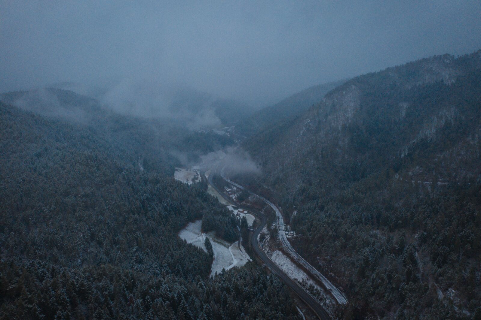 Hasselblad L1D-20c sample photo. Black forest, firs, trees photography