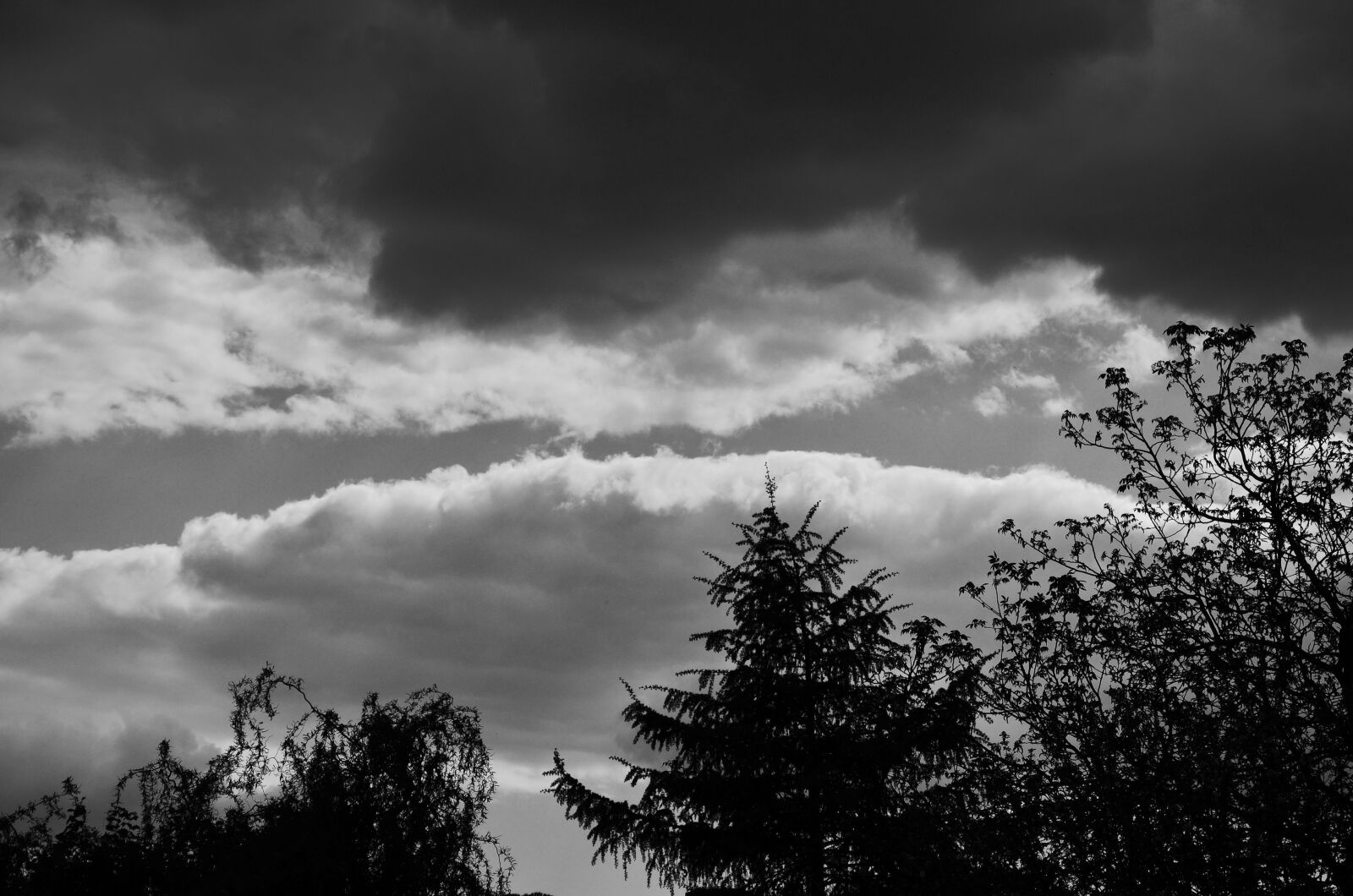 Nikon D5100 sample photo