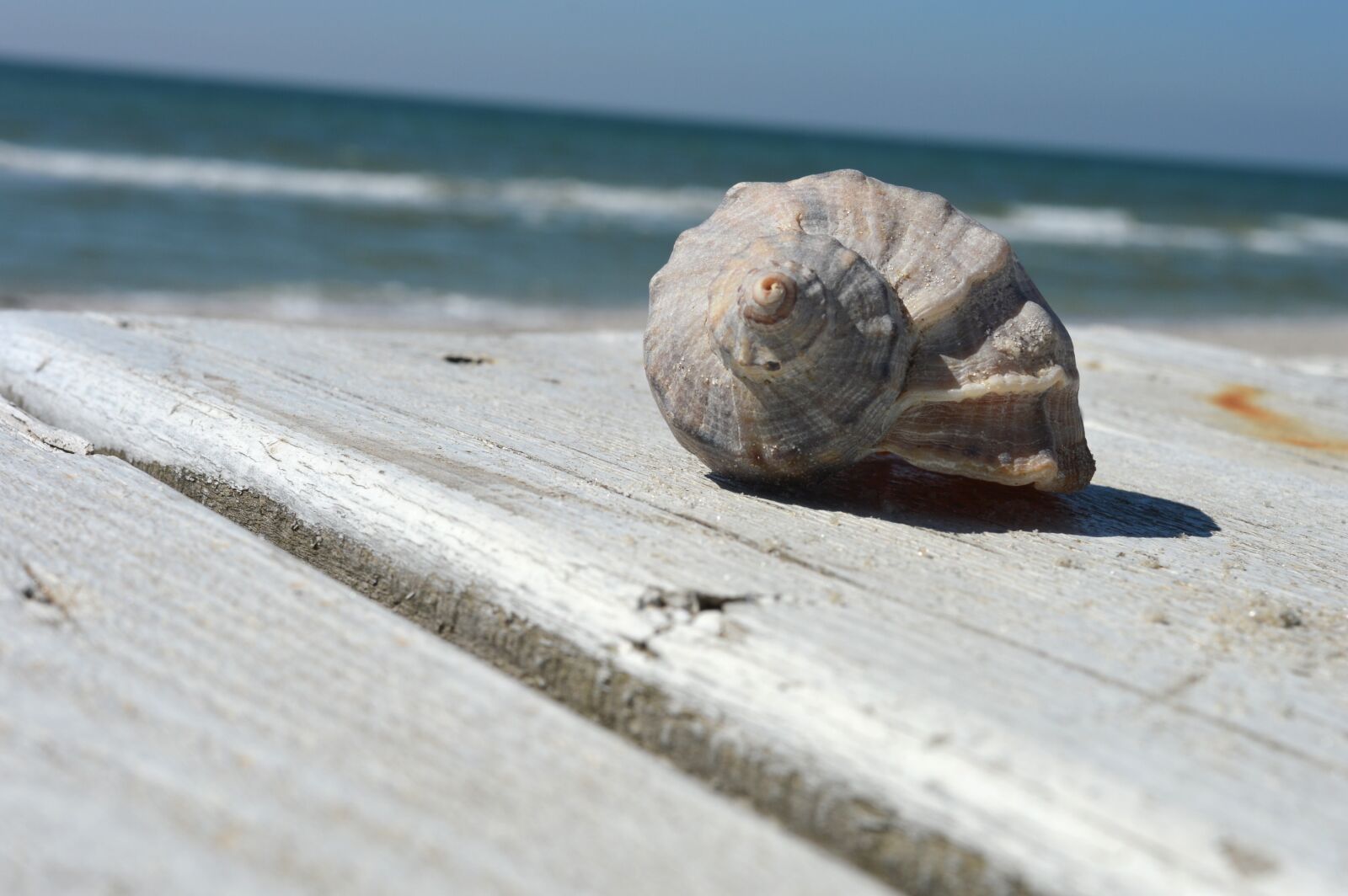 Nikon D3200 sample photo. Sand, beach, sea photography