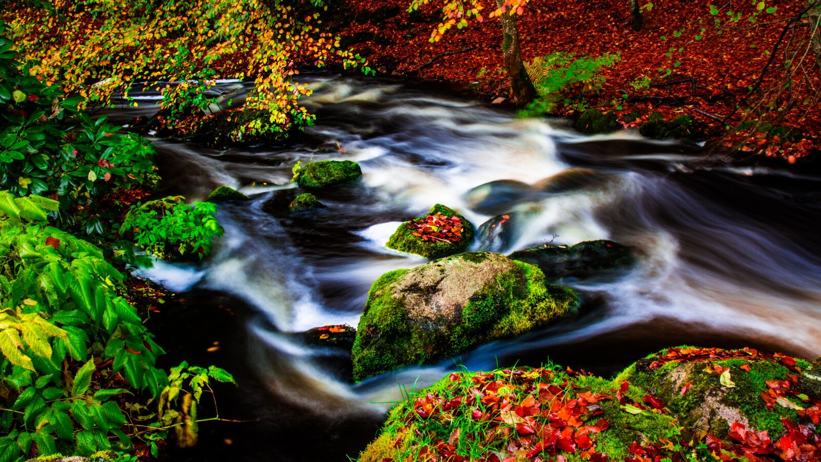 Canon EF 24-105mm F4L IS USM sample photo. Body of water, nature photography