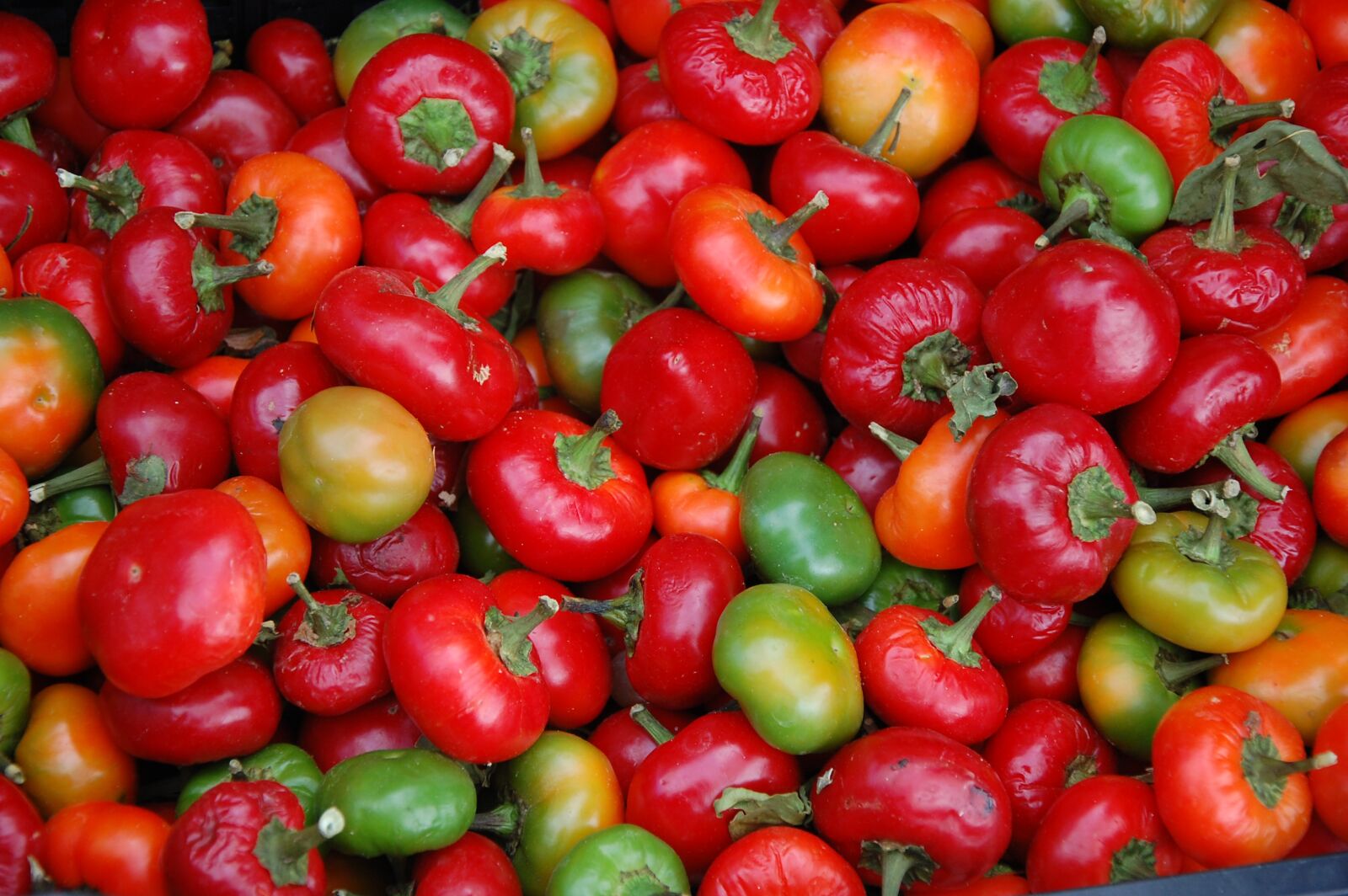 Nikon D40 sample photo. Paprika, red, vegetables photography