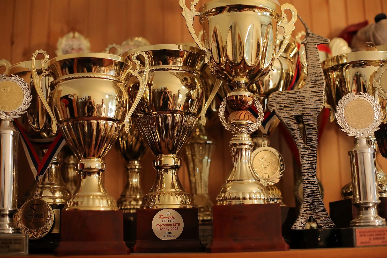 Canon EOS 5D Mark III sample photo. Trophy, prize, handmade, memorabilia photography