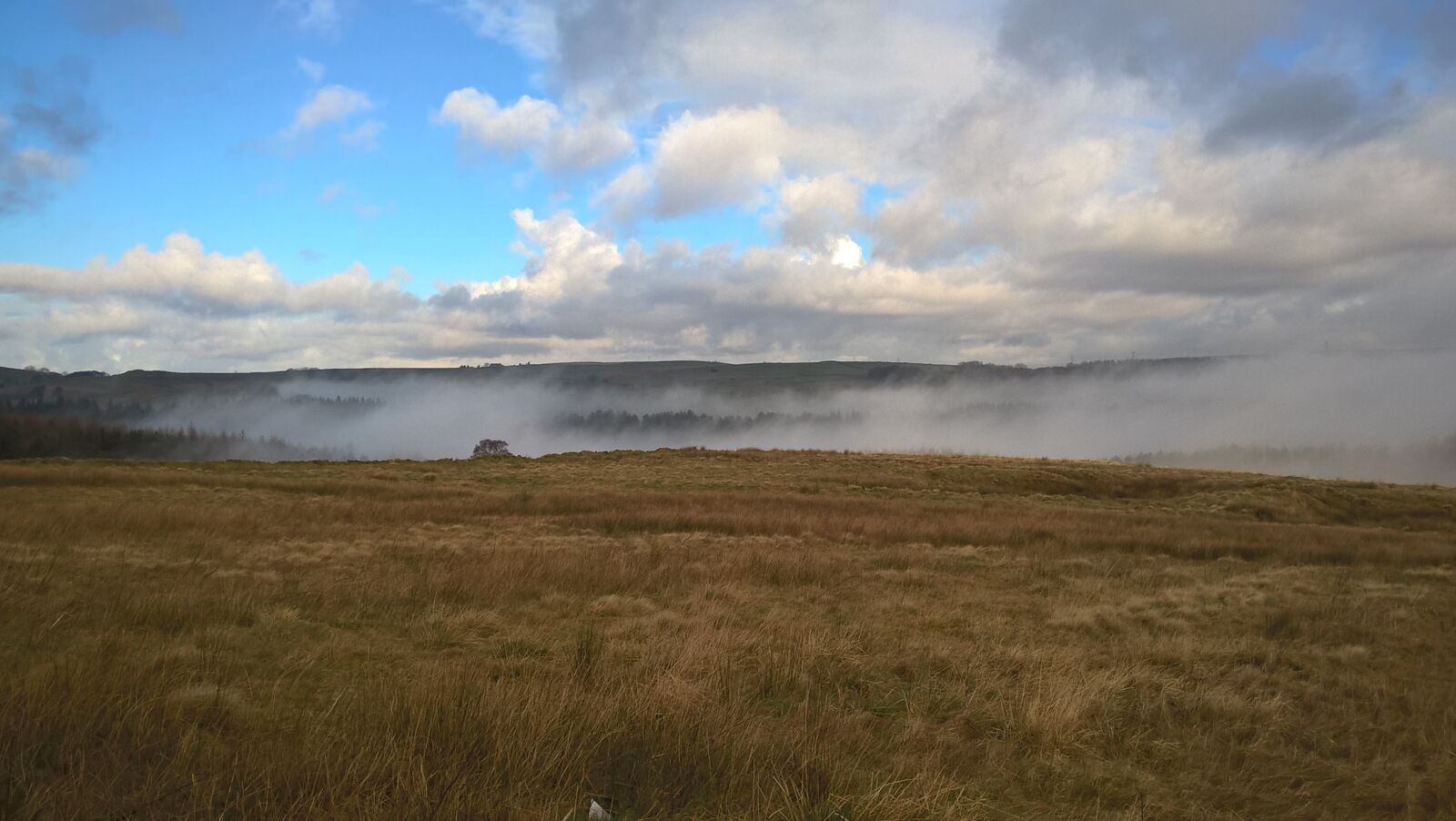 Microsoft Lumia 640 LTE sample photo. Landscape, mist, moor photography