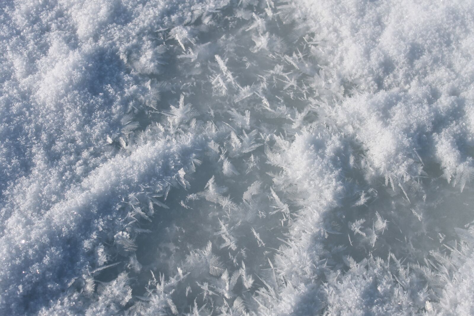 Canon EOS 1100D (EOS Rebel T3 / EOS Kiss X50) sample photo. Snowflakes, winter, snow photography
