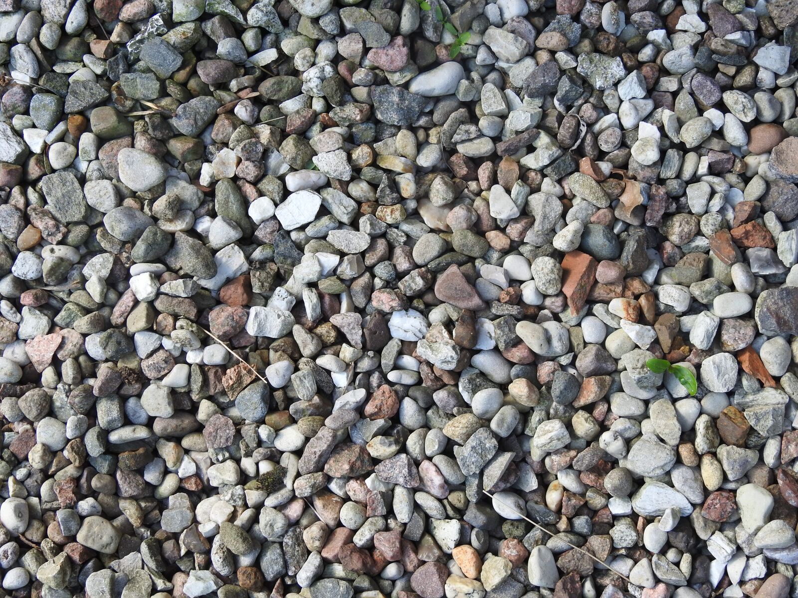 Nikon Coolpix P900 sample photo. The stones, wallpaper, pebbles photography