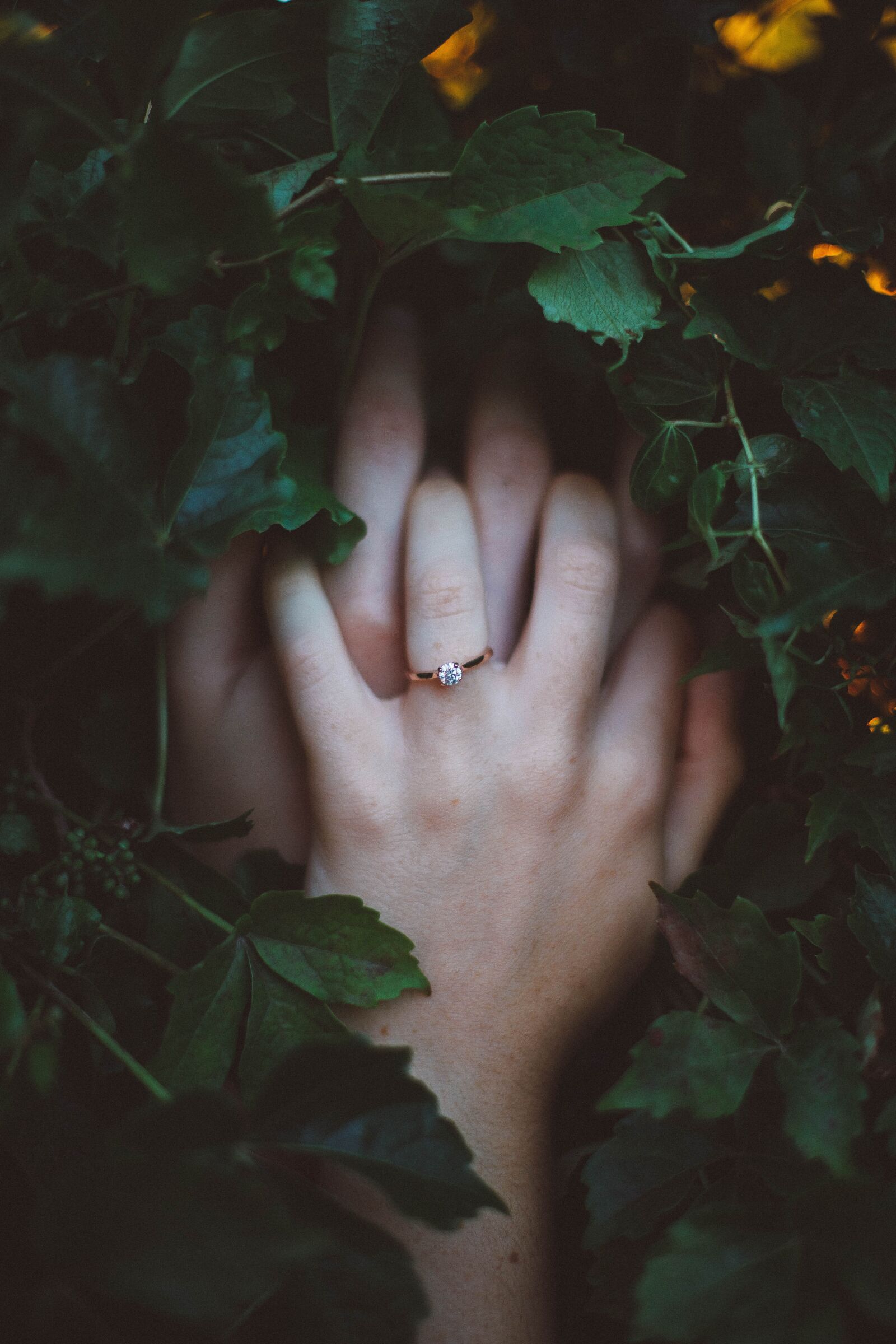 Canon EOS 6D + Canon EF 50mm F1.4 USM sample photo. Hands, leaves, plant photography