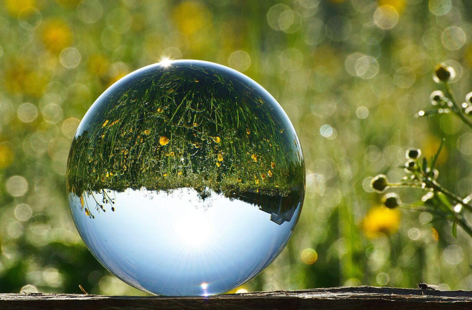 Sony SLT-A77 sample photo. Glass ball, ball, glass photography