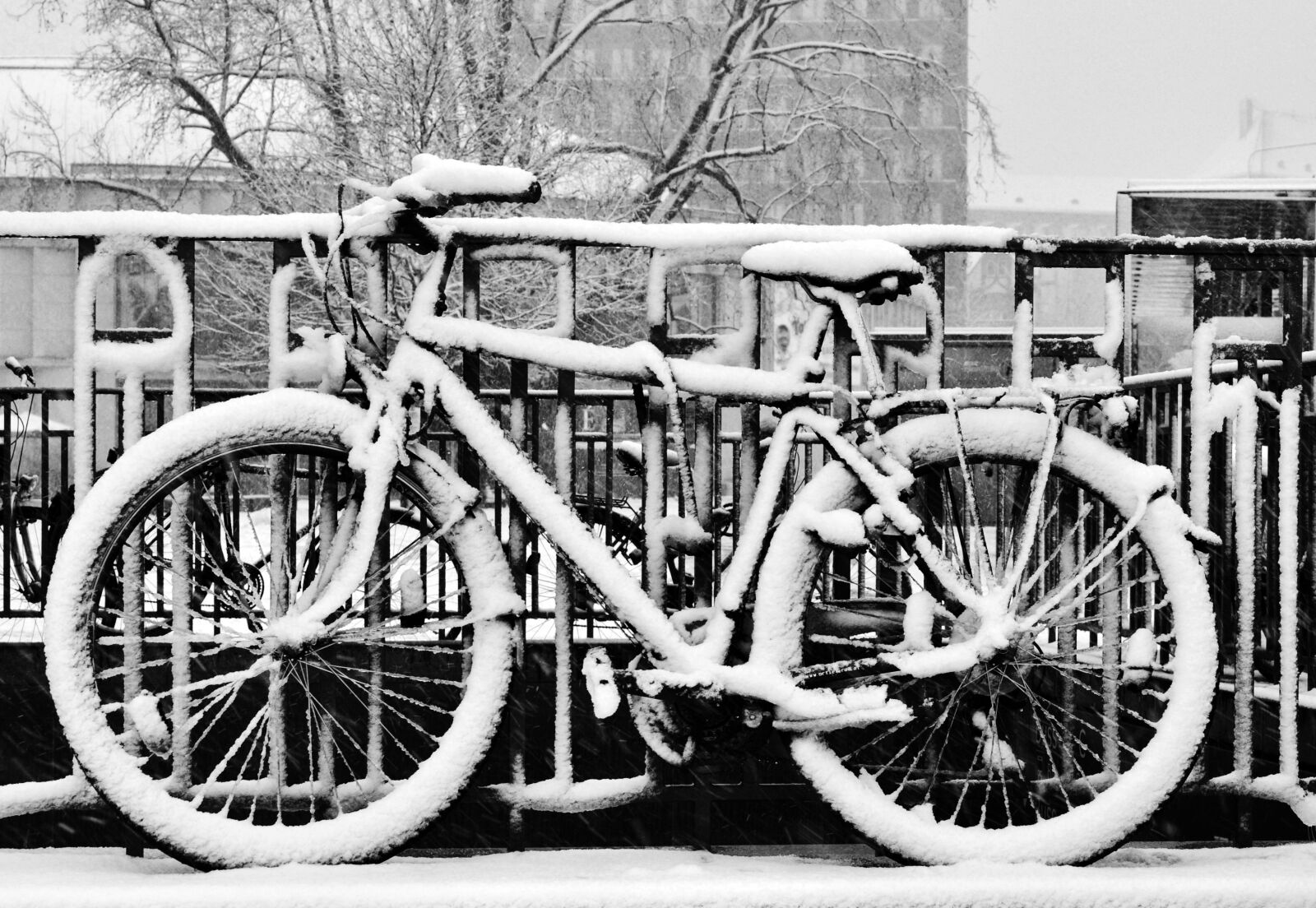 Nikon D90 sample photo. Bike, snow, winter photography