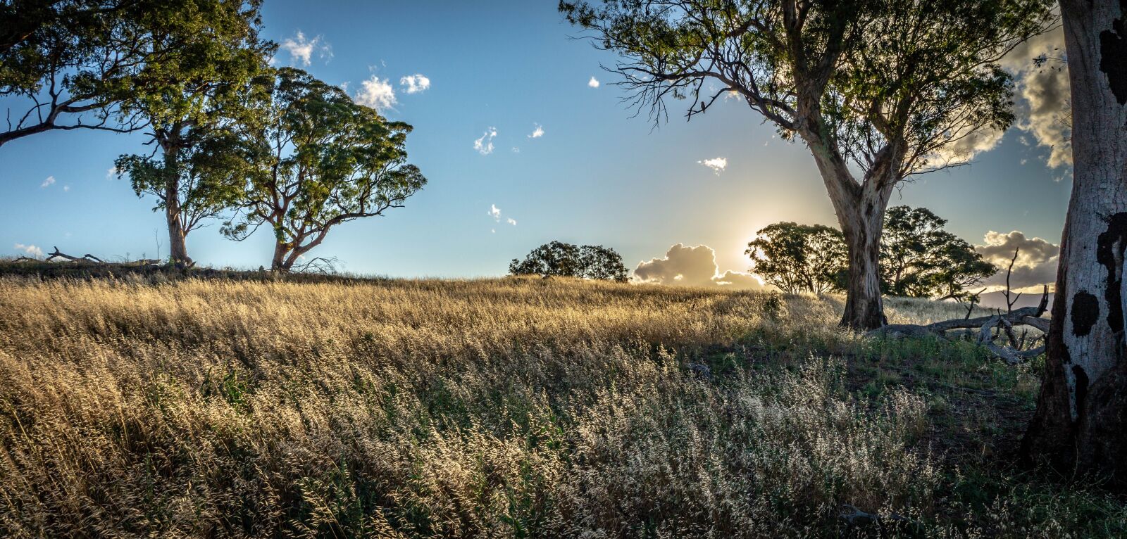 E 18-50mm F4-5.6 sample photo. Sunset, evening, landscape photography