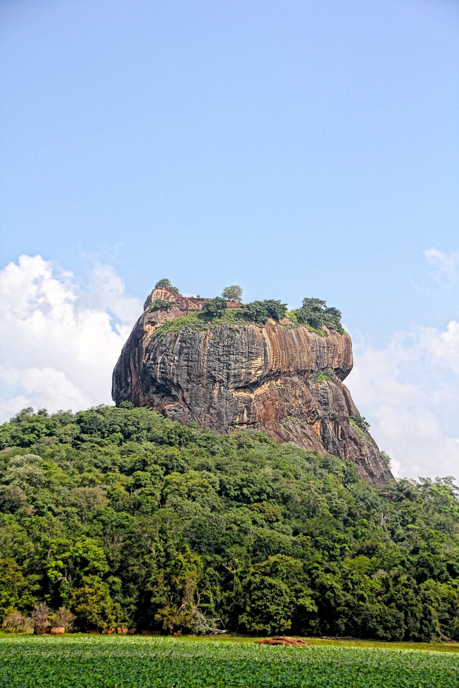 Canon EOS 550D (EOS Rebel T2i / EOS Kiss X4) sample photo. Lion rock, sri lanka photography