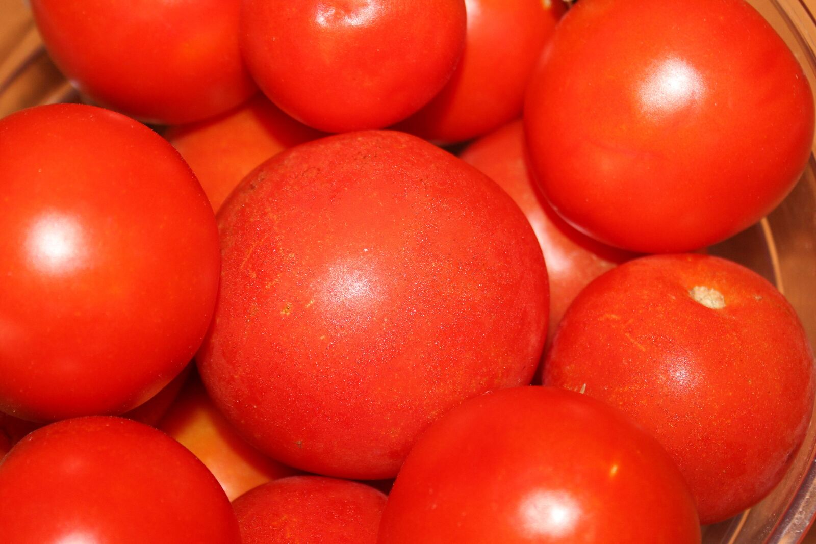 Canon EOS 600D (Rebel EOS T3i / EOS Kiss X5) sample photo. Tomatoes, red, vegetables photography