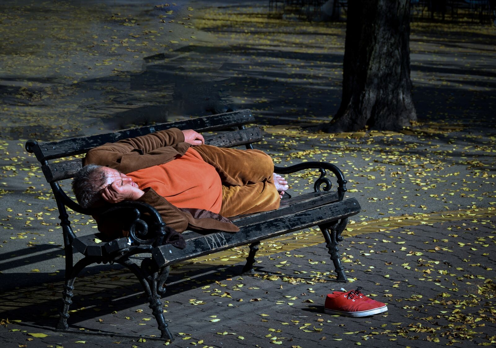 Nikon D3300 sample photo. Autumn, bench, homeless, leaves photography