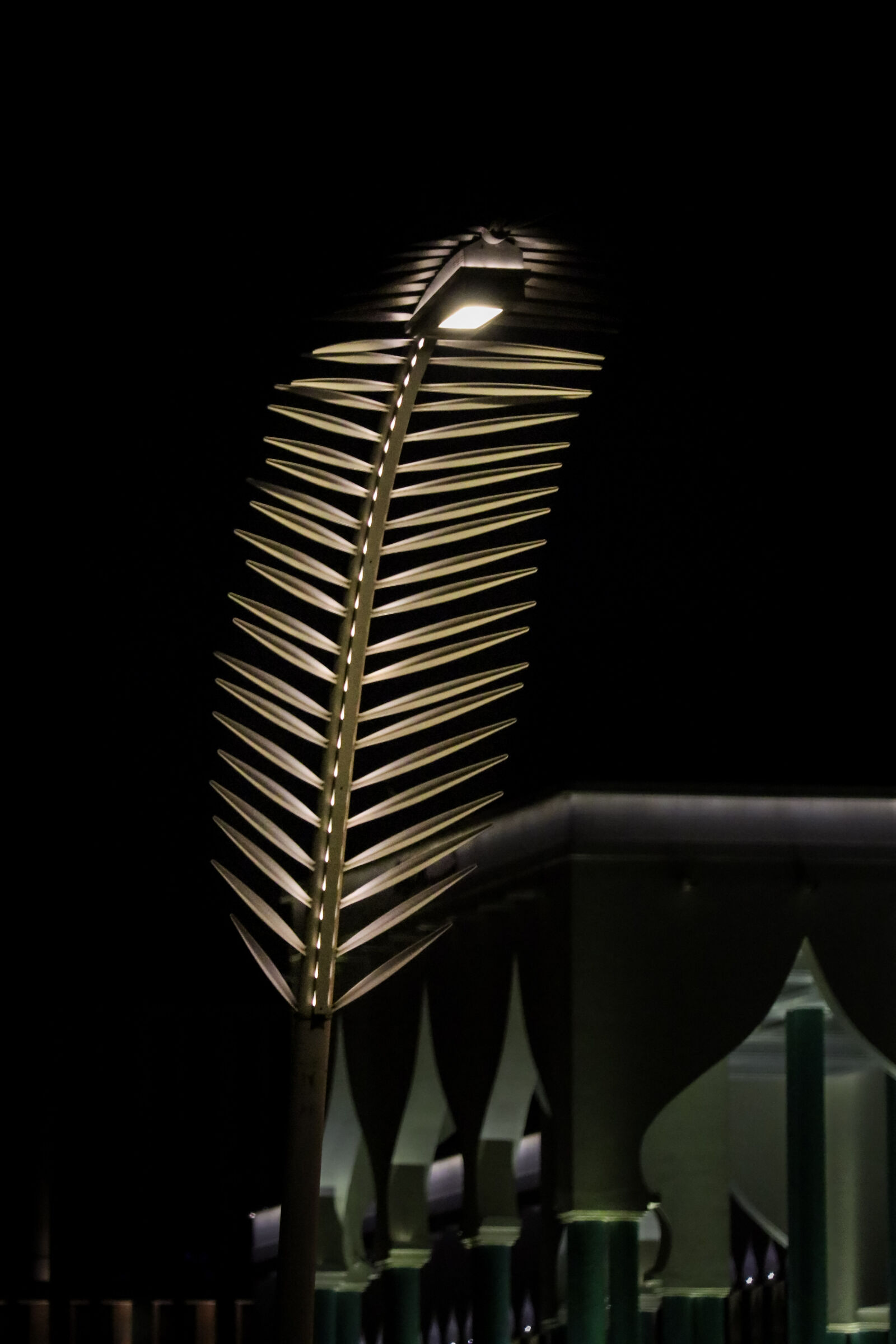 Canon EOS 80D sample photo. Palm-fronds street light photography