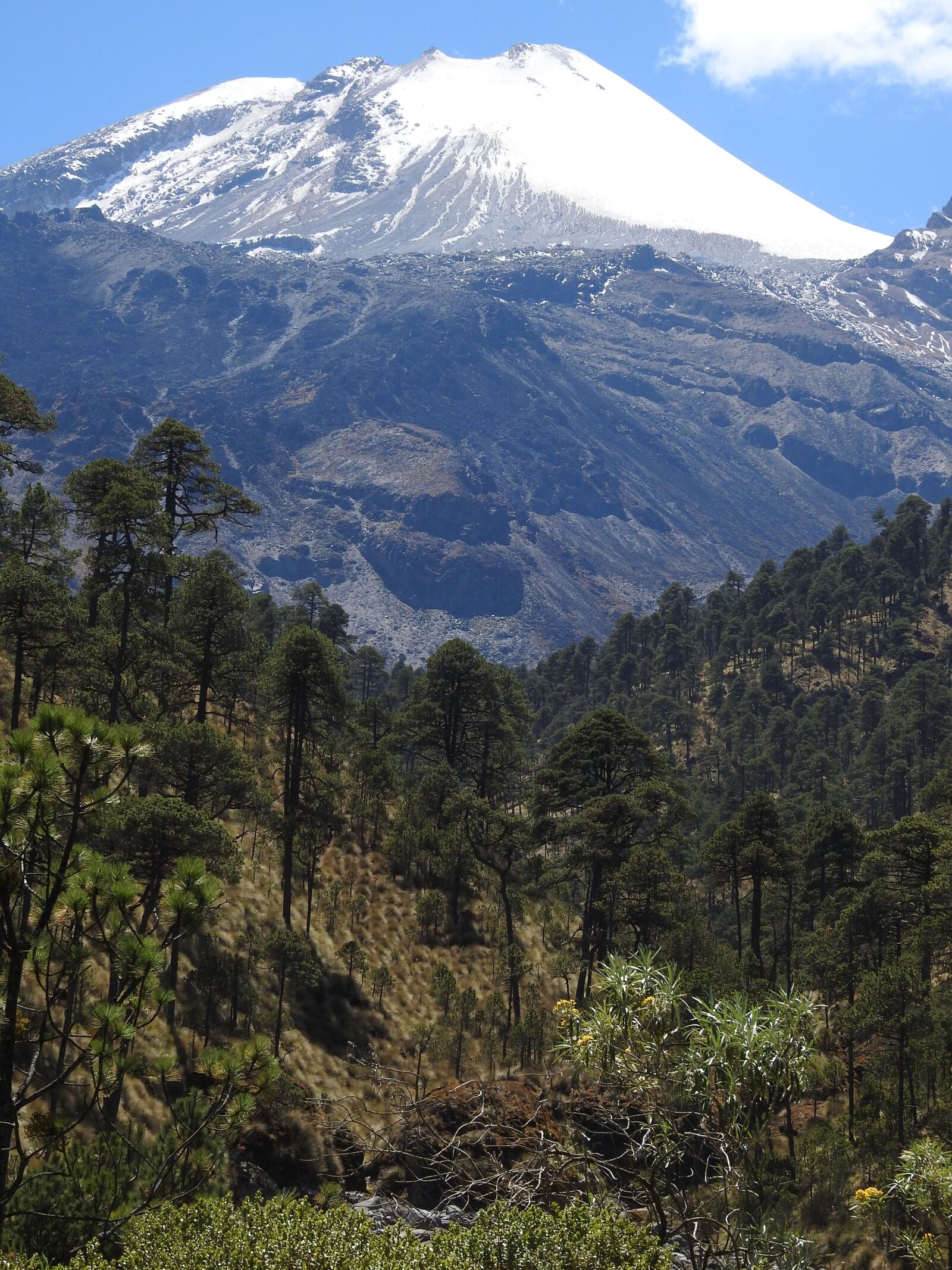 Nikon Coolpix P900 sample photo. Pico de orizaba, mountain photography
