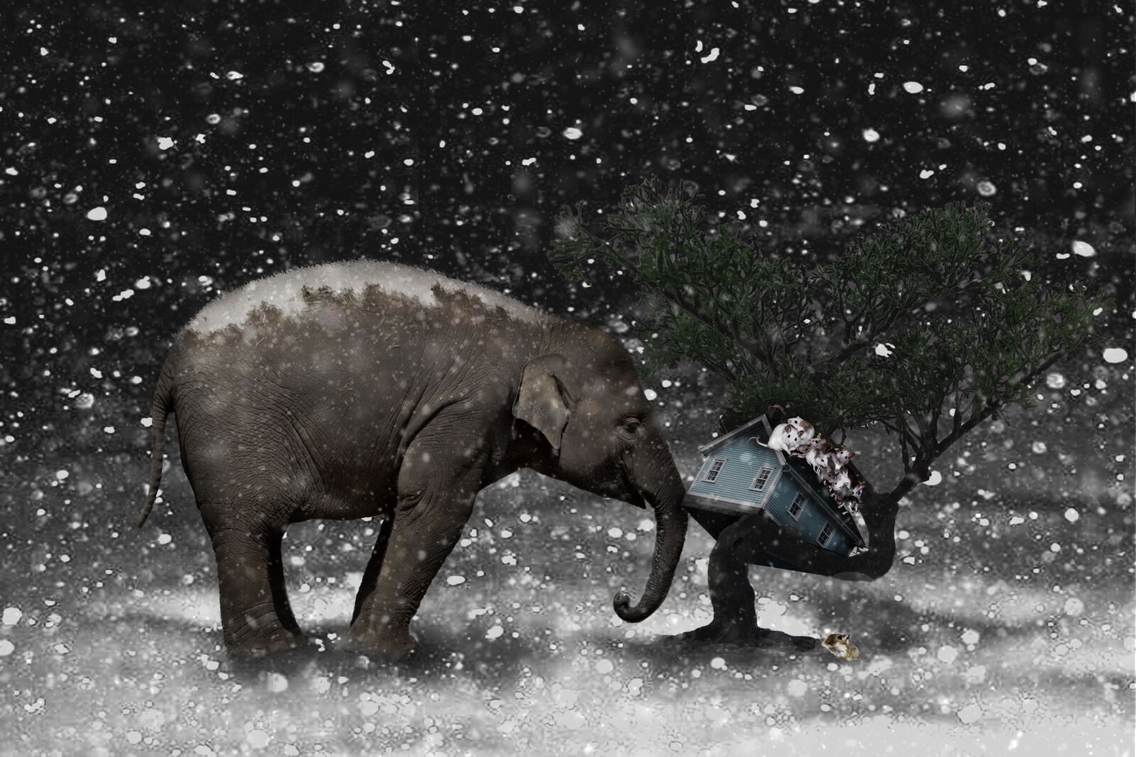 Canon EOS 600D (Rebel EOS T3i / EOS Kiss X5) sample photo. Elephant, mice, pachyderm photography