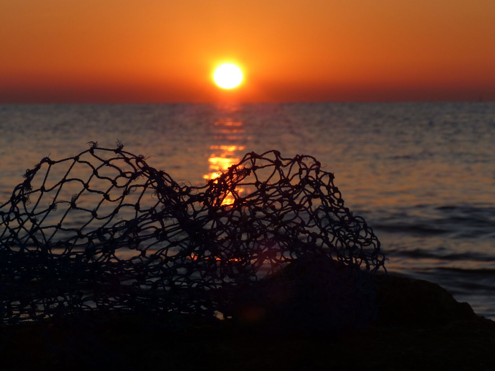 Panasonic Lumix DMC-FZ200 sample photo. Fishing, network, dawn photography