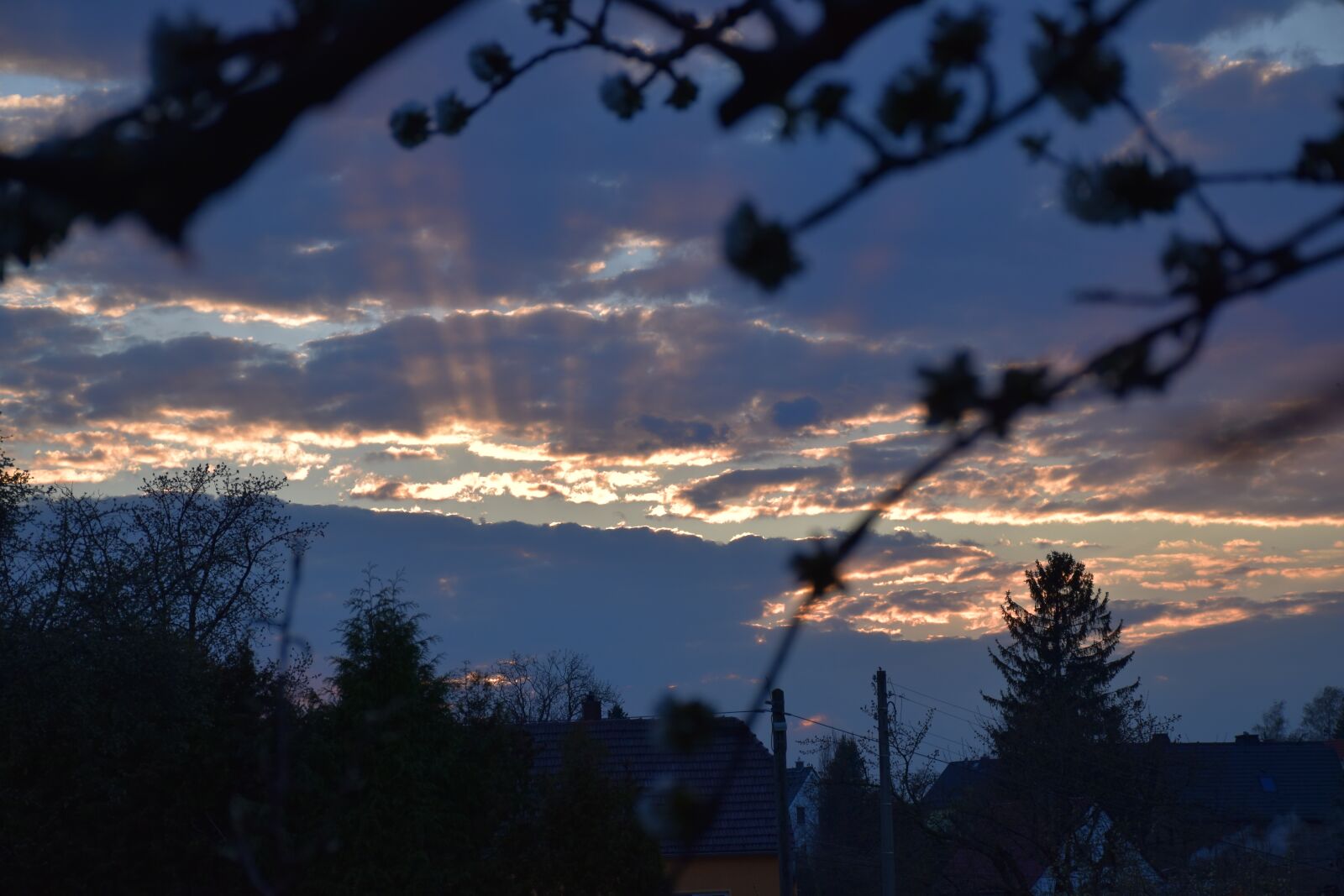 Nikon D5600 sample photo. Dawn, sun, clouds photography