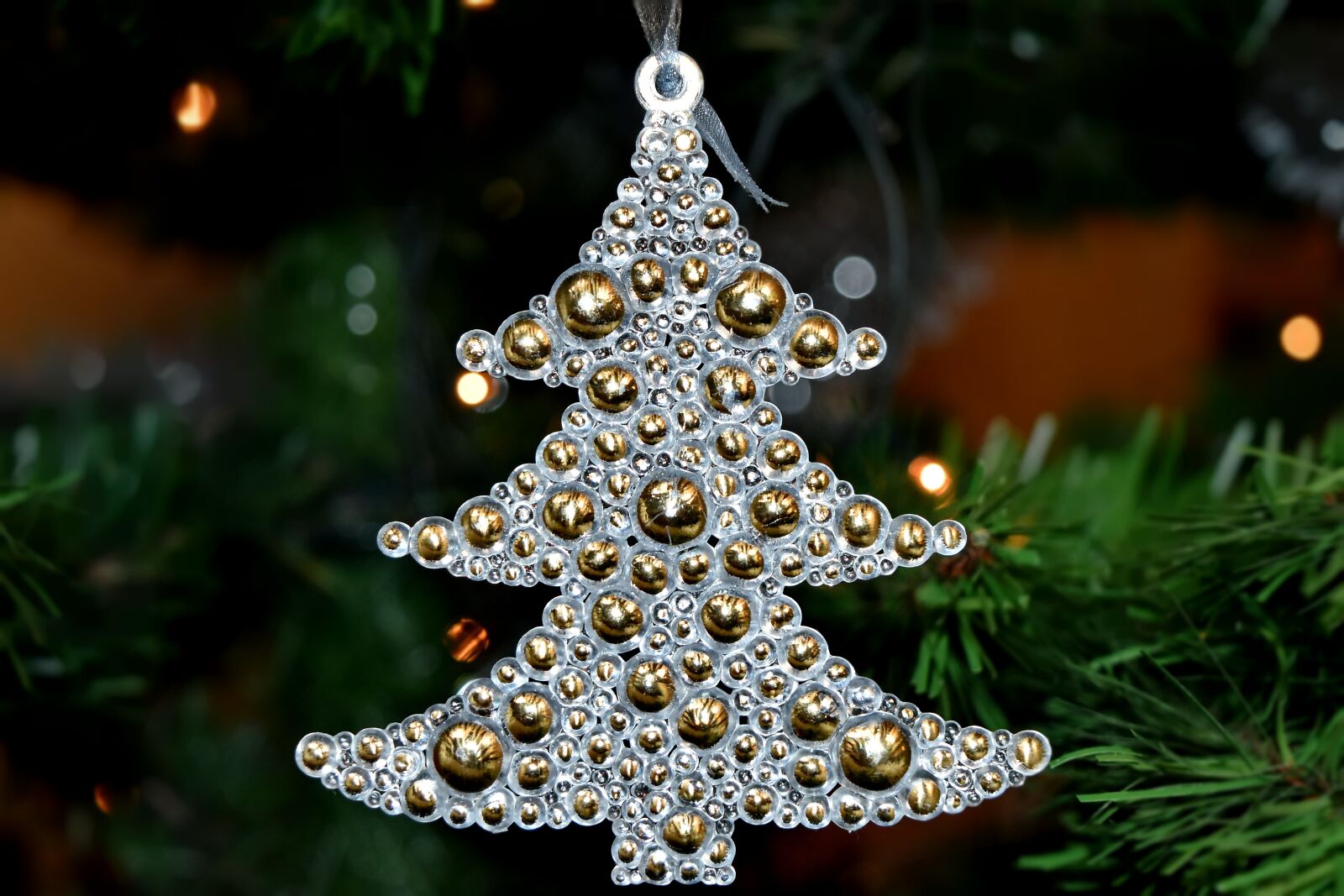 Nikon D5500 sample photo. Bright, christmas, christmas tree photography