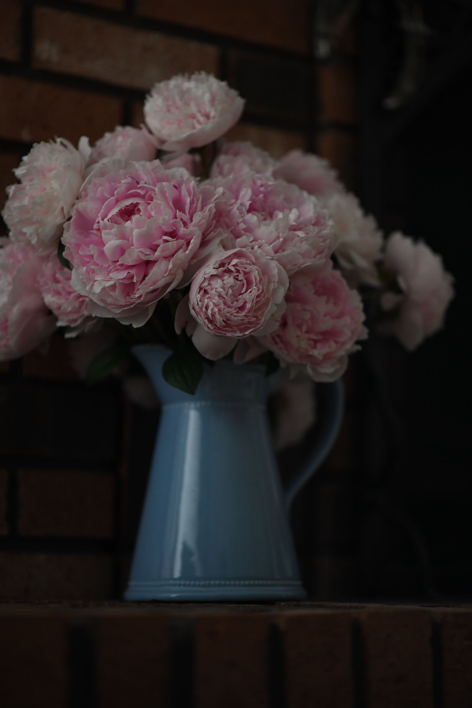 Nikon D850 sample photo. Peony, pink, flower photography