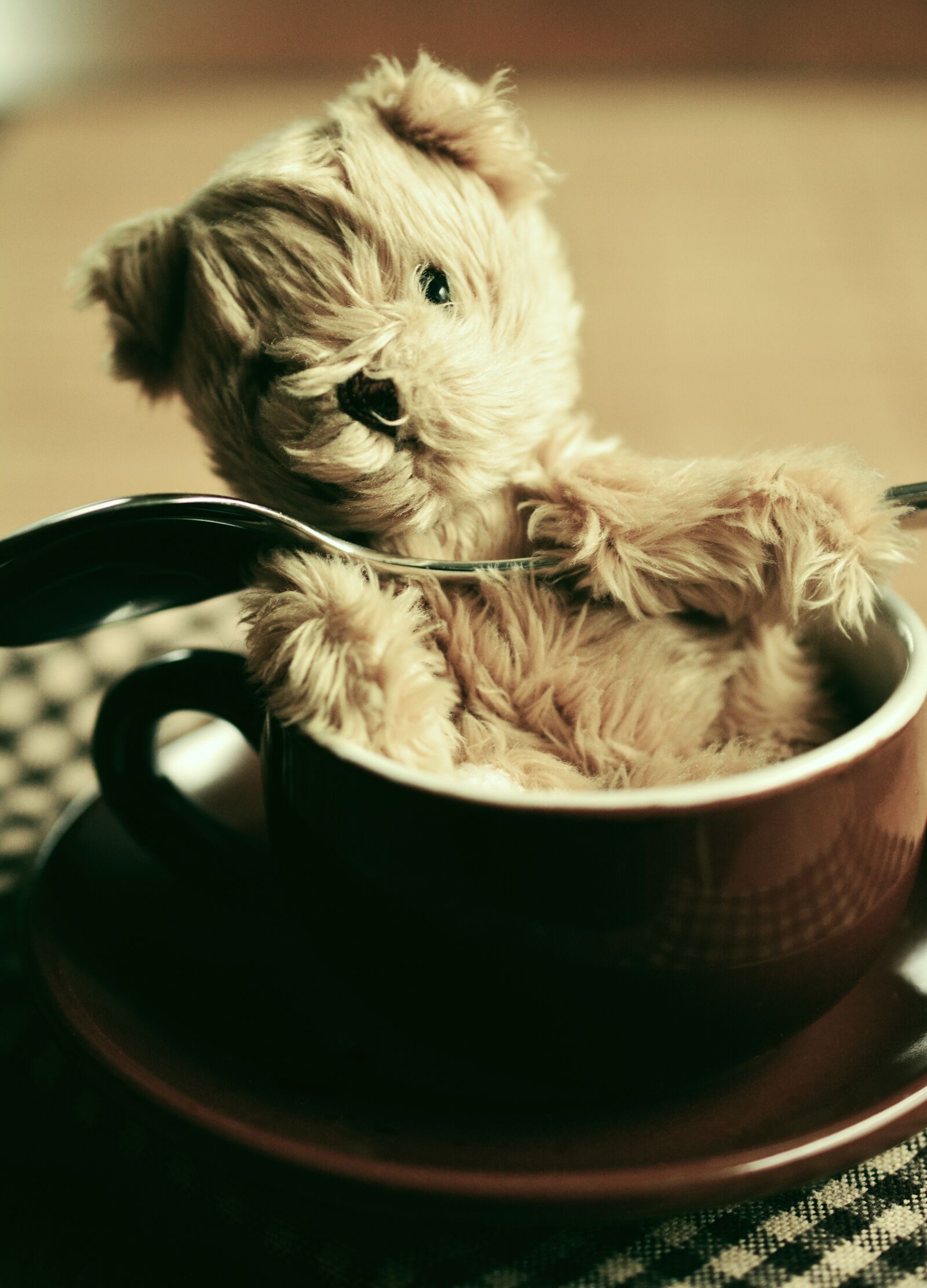 Nikon D5200 sample photo. Coffee cup, teddy, teddy photography