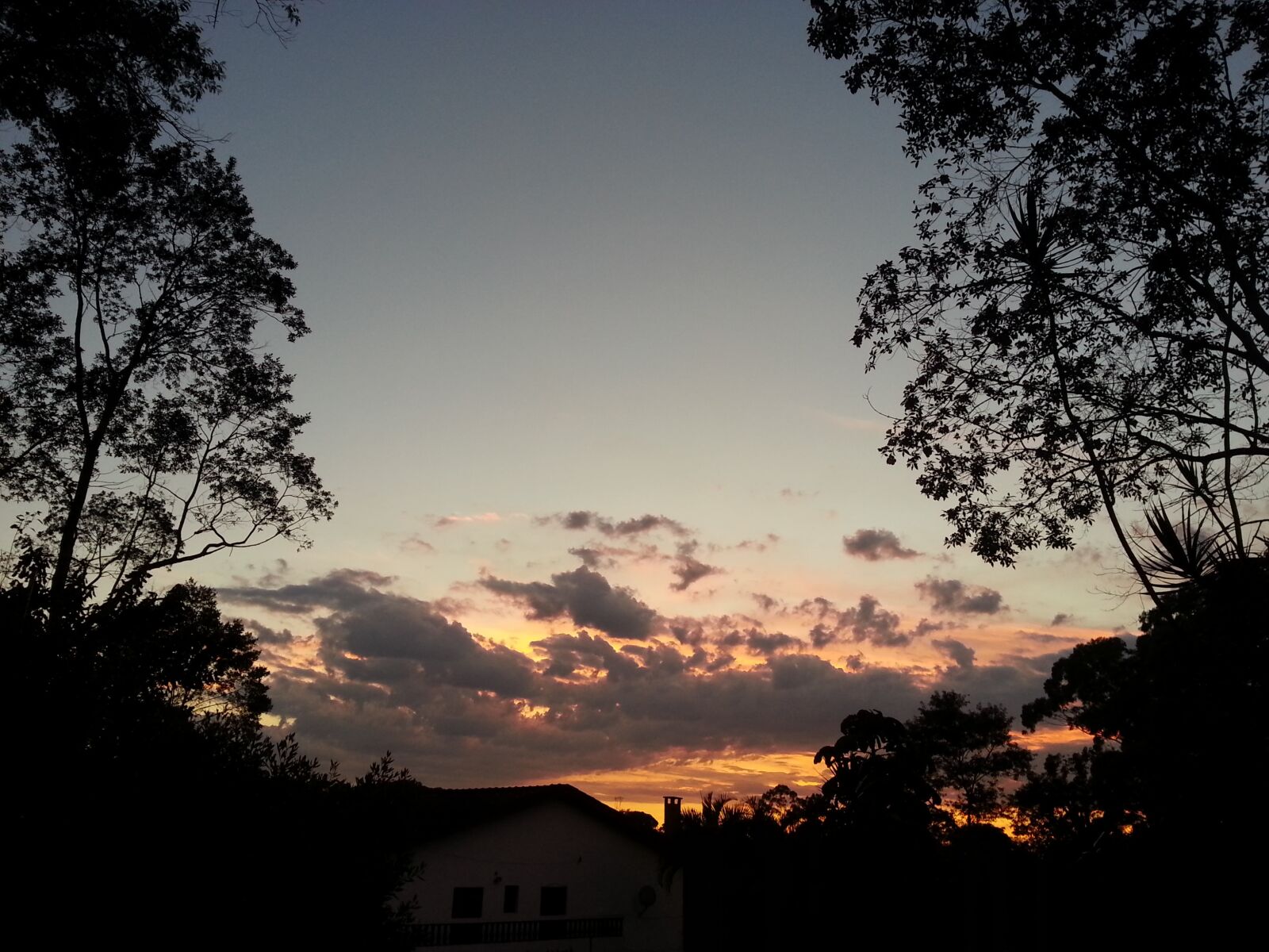 Samsung Galaxy Note2 sample photo. Sunset, trees, landscape photography
