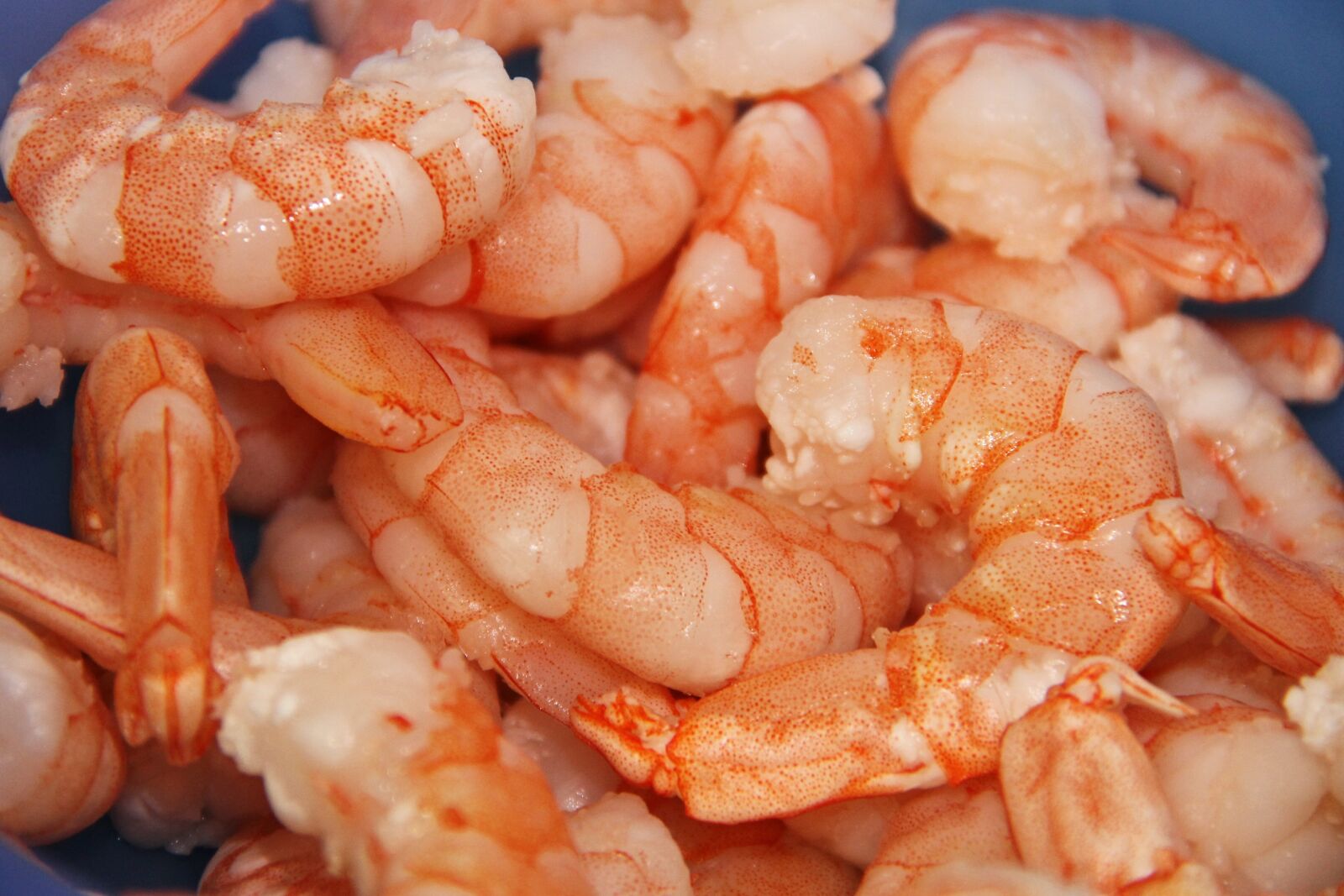 Canon EOS 1100D (EOS Rebel T3 / EOS Kiss X50) sample photo. Shrimp, seafood, fresh photography