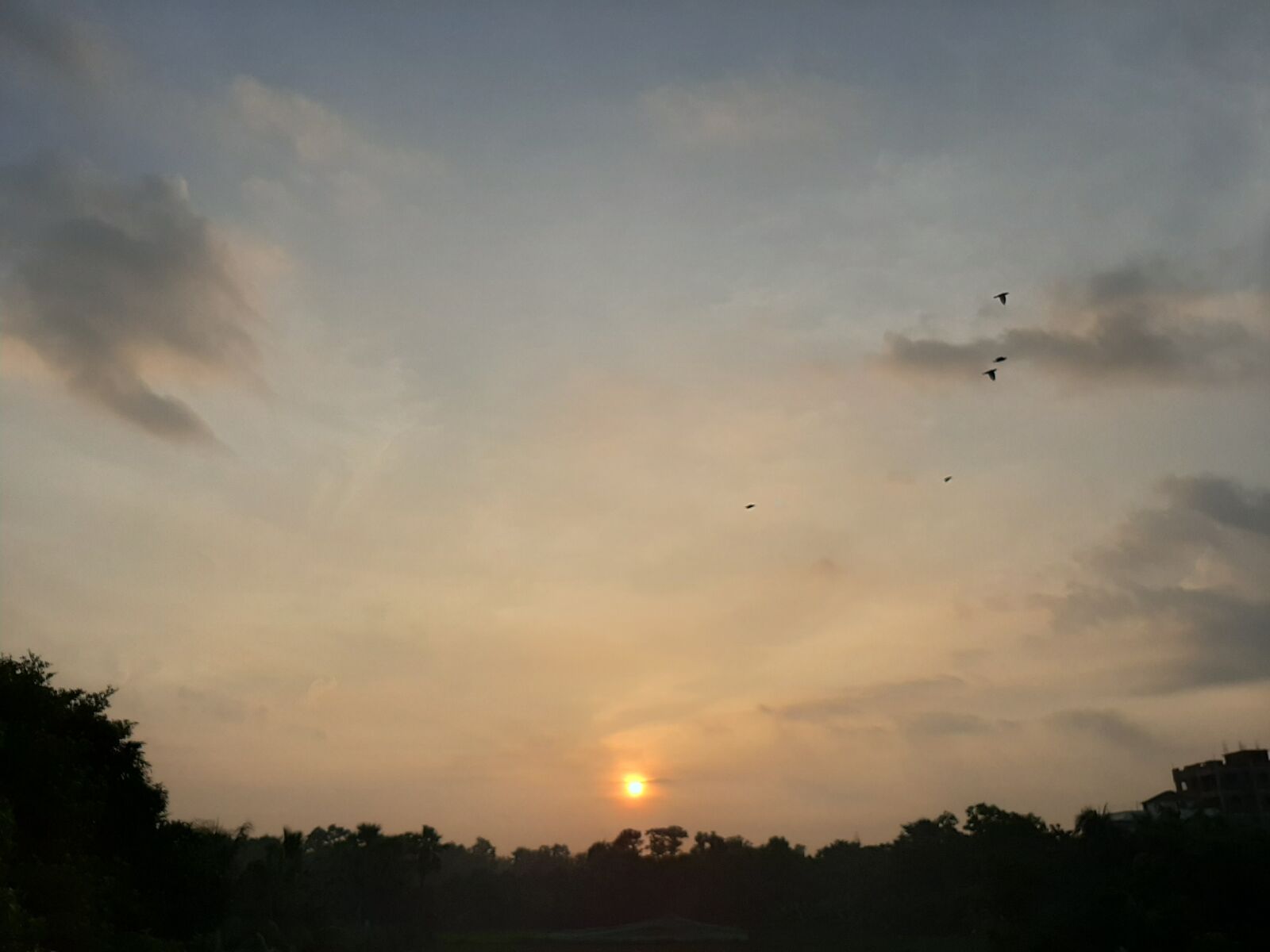 Samsung SM-A505F sample photo. Sunset, sun, sky photography