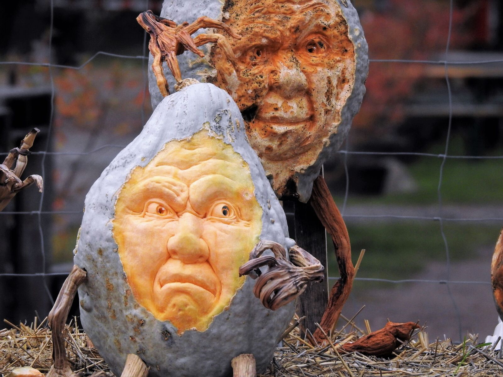 Nikon Coolpix P900 sample photo. Pumpkin, face, autumn photography