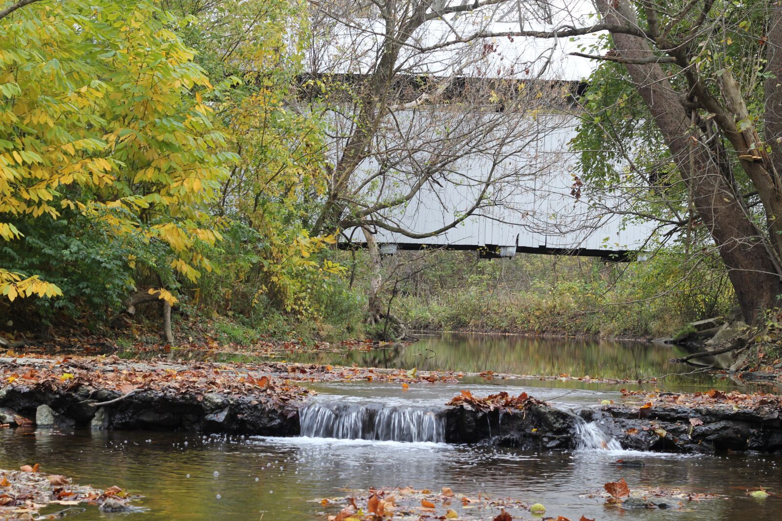 Canon EOS 550D (EOS Rebel T2i / EOS Kiss X4) sample photo. Covered bridge, river, stream photography