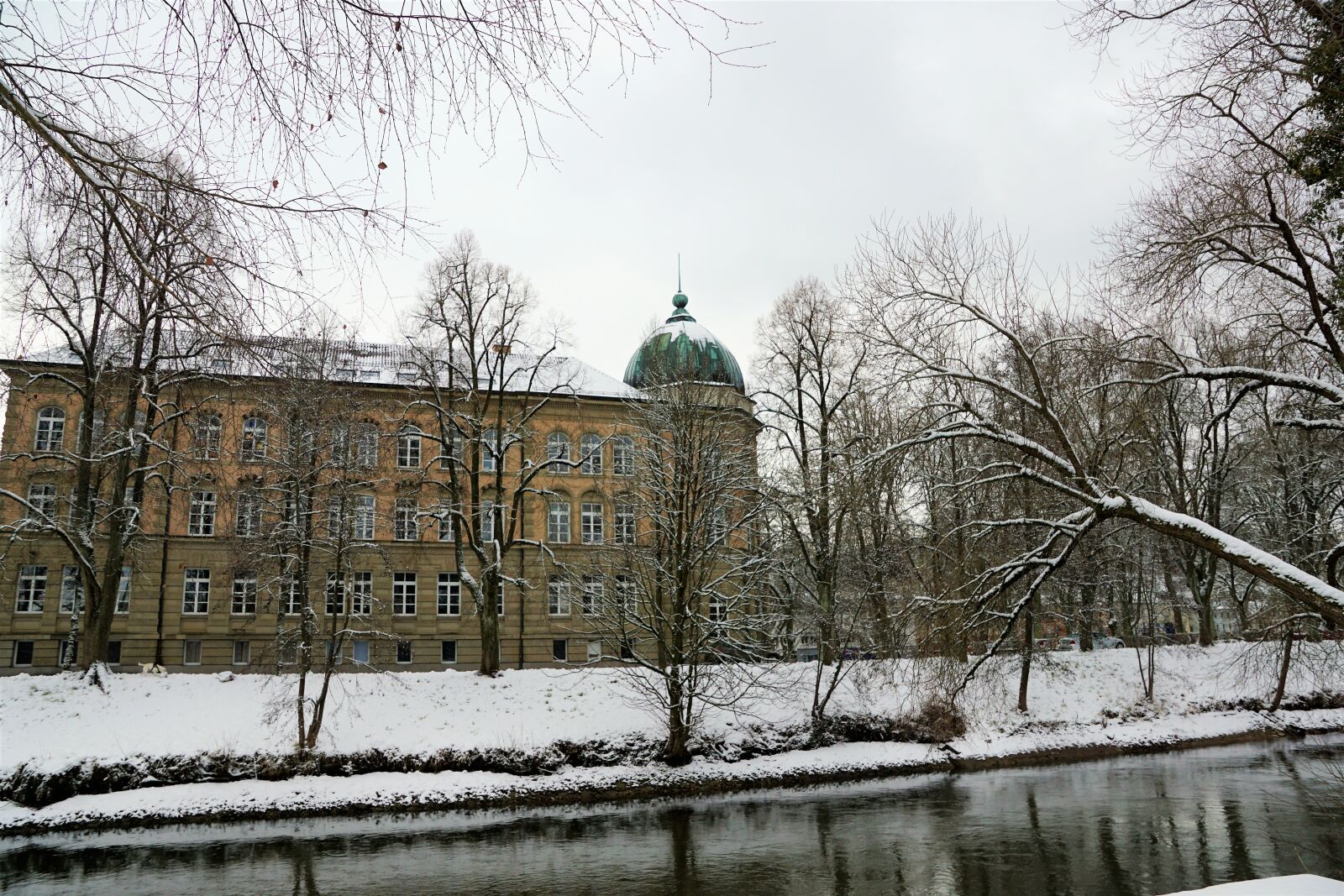 Sony ILCA-77M2 + Sony DT 16-50mm F2.8 SSM sample photo. Winter, snow, tree photography