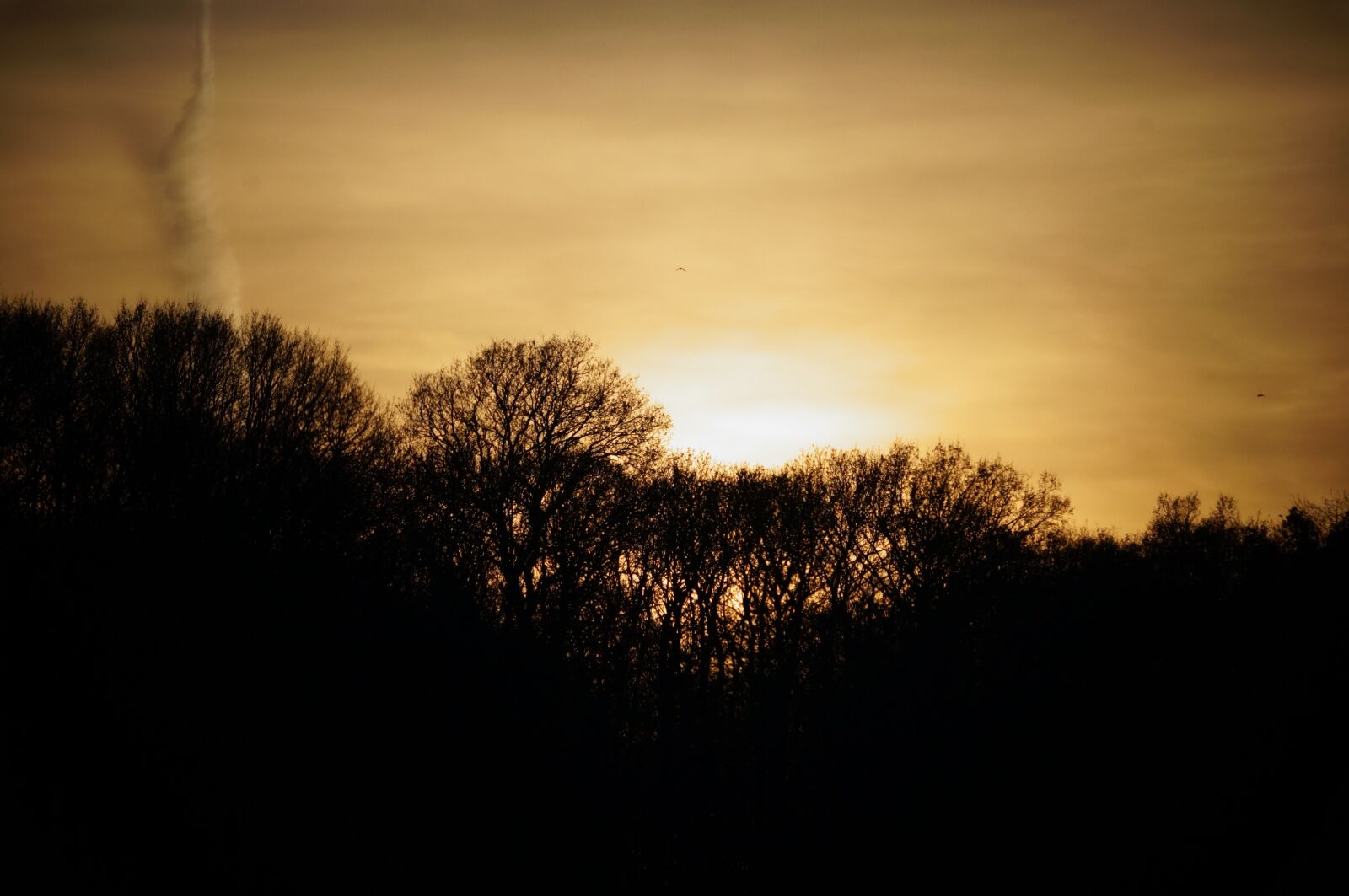 Sony SLT-A57 + Sony DT 55-200mm F4-5.6 SAM sample photo. Landscape, sunset, tree photography