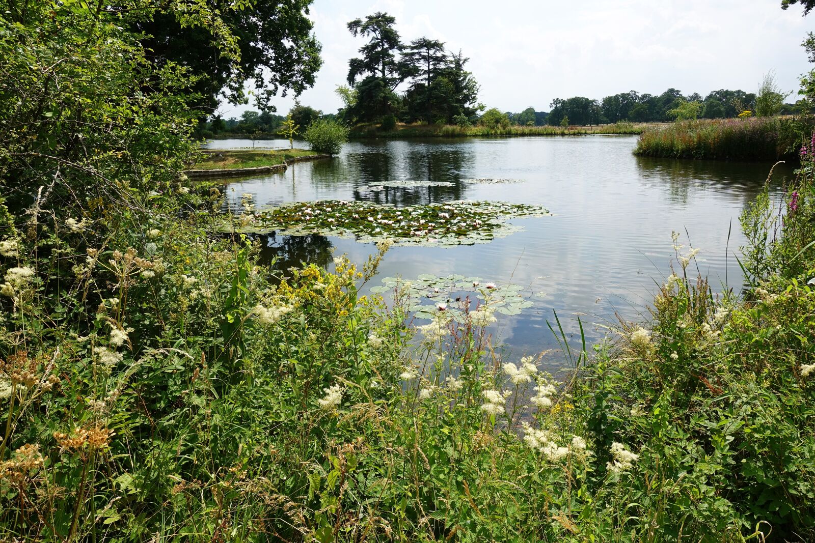 Sony DSC-RX100M5 sample photo. Lake, fresh water, wild photography