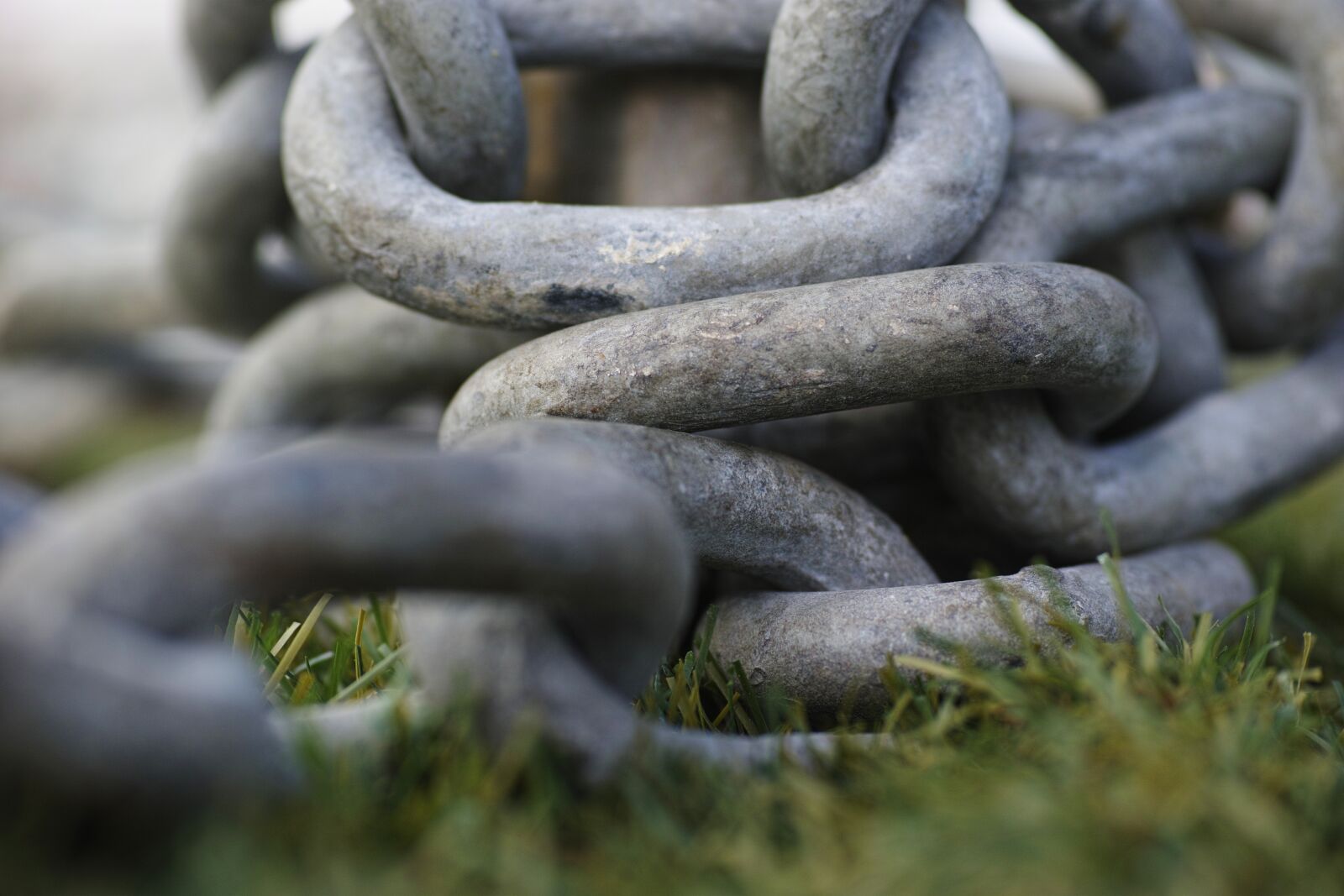 Sigma dp3 Quattro sample photo. Chain, macro, detail photography