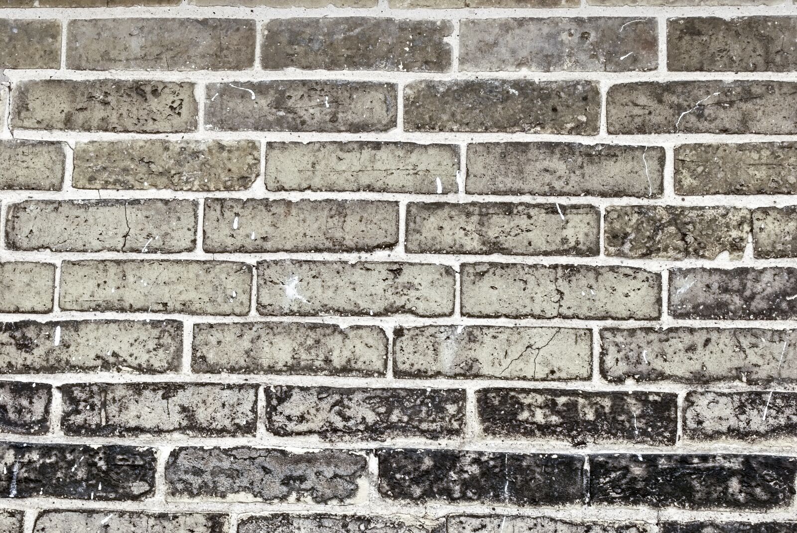 Nikon D60 sample photo. Backdrop, wall, brick photography