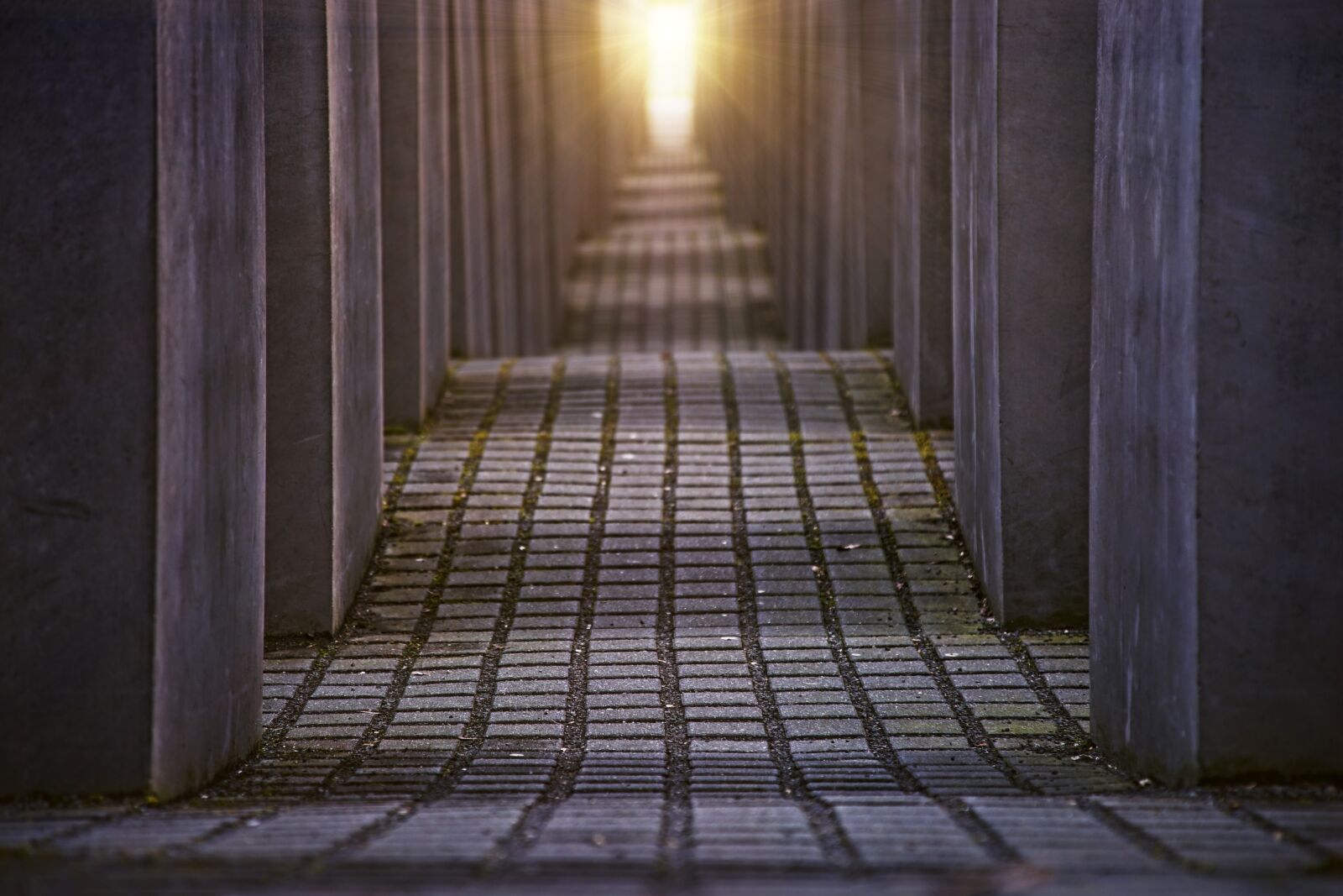 Sony a7 sample photo. Berlin, holocaust, monument photography