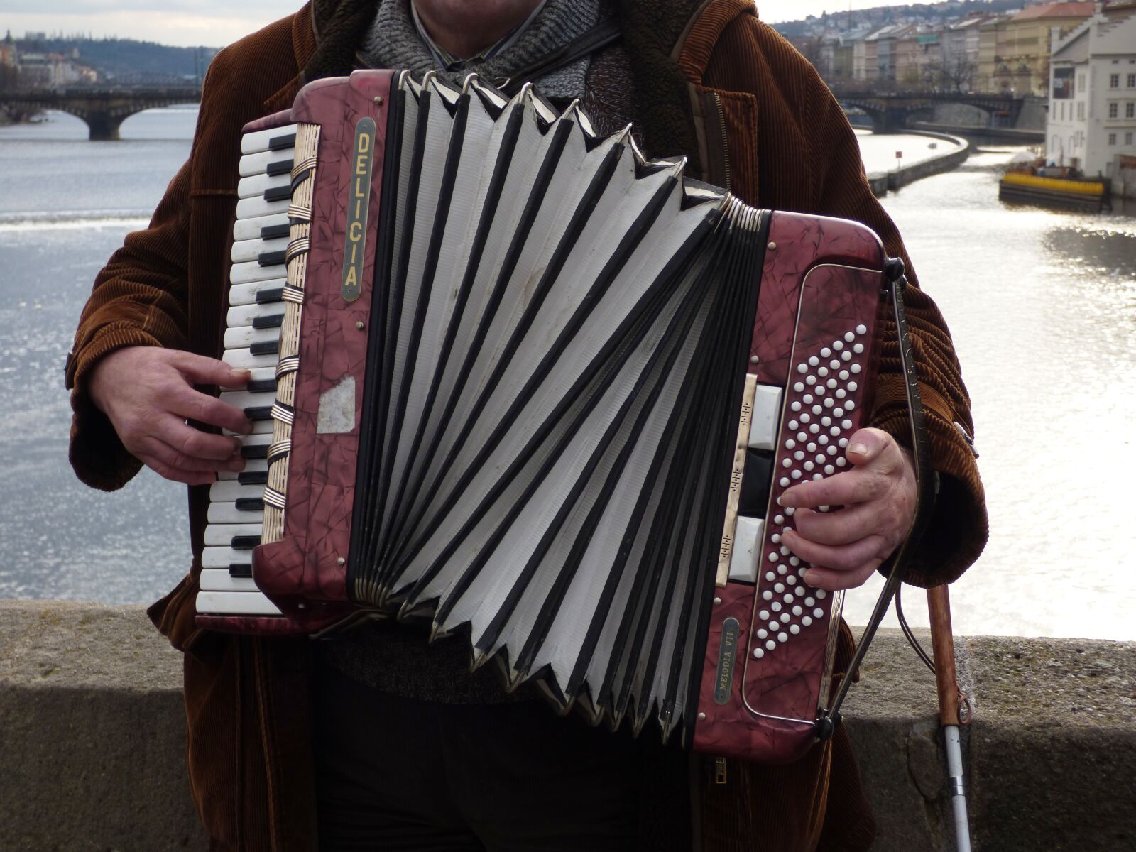 Panasonic DMC-FZ72 sample photo. Accordion, the harmony, playing photography