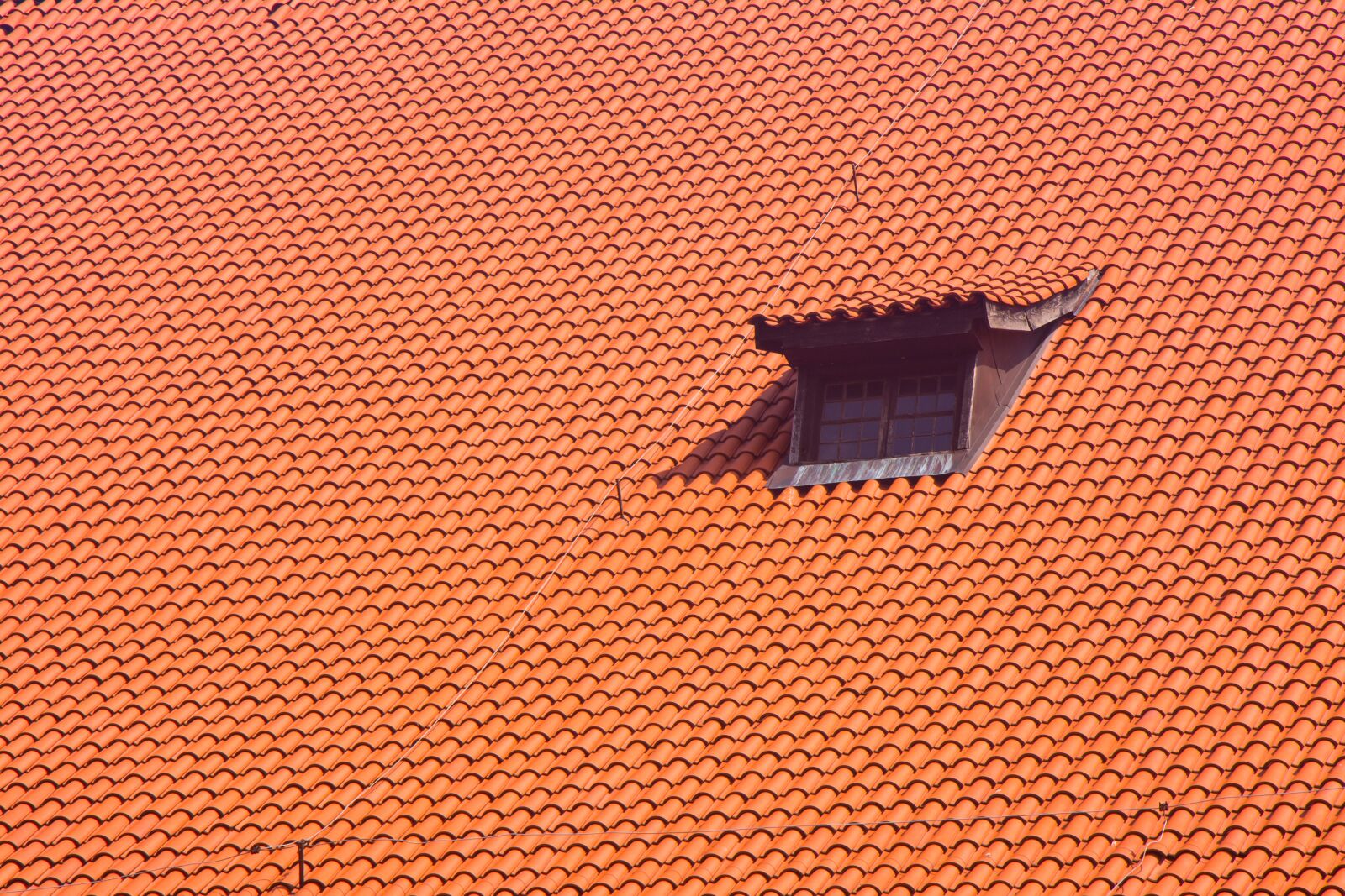 Nikon D5200 sample photo. The window, gothic windows photography