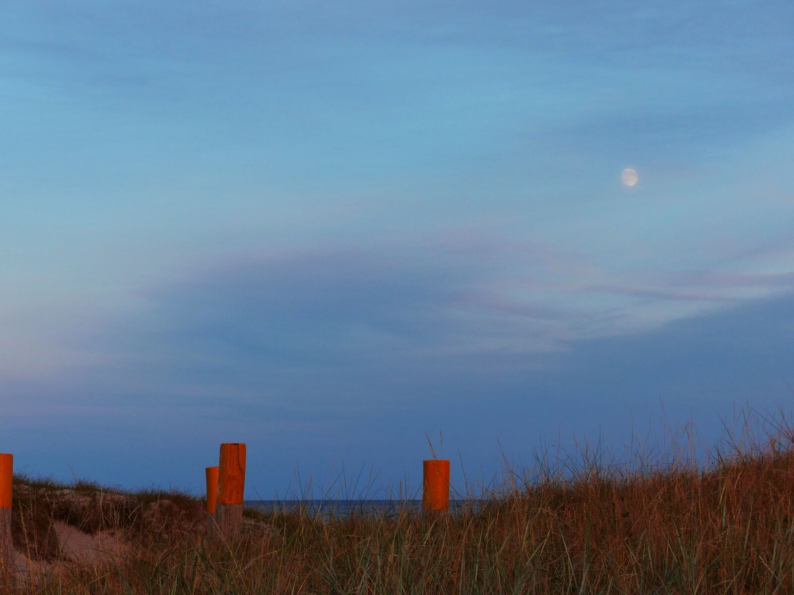 Panasonic Lumix DMC-FZ200 sample photo. Baltic sea, beach relax photography