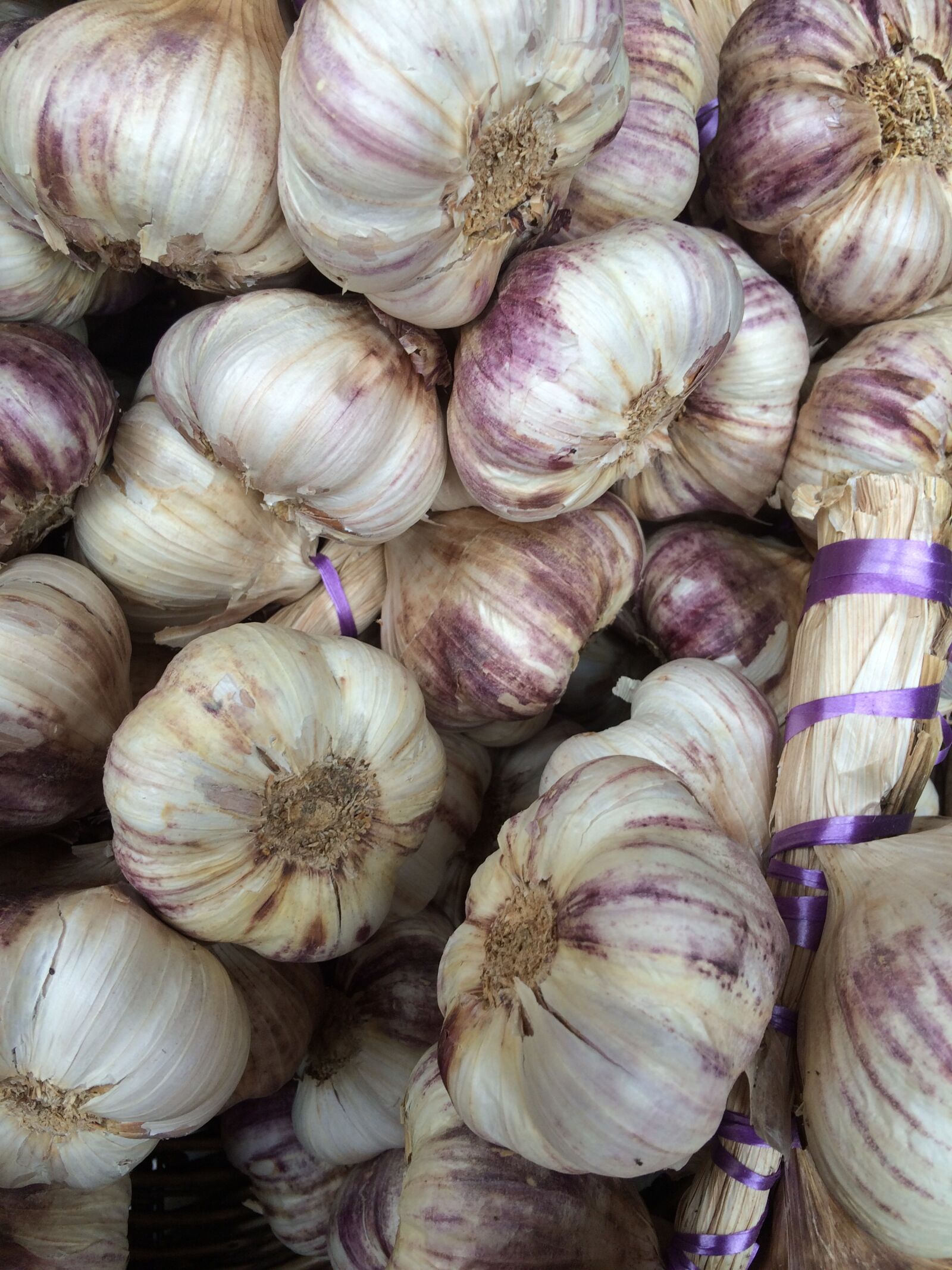 Apple iPhone 5s sample photo. Garlic, garlic bulb, bulb photography