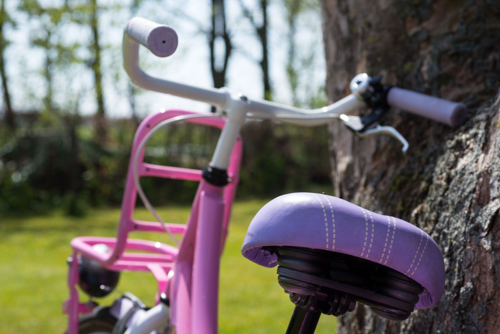 Nikon D610 sample photo. Girl, bike, pink photography