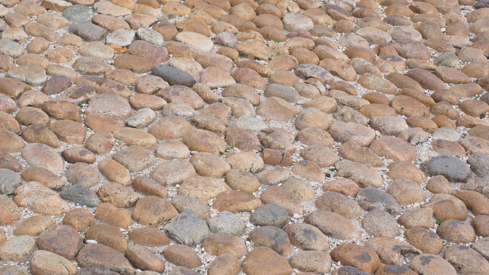 Olympus OM-D E-M1 + Olympus M.Zuiko Digital ED 12-40mm F2.8 Pro sample photo. Cobblestones, road, away photography