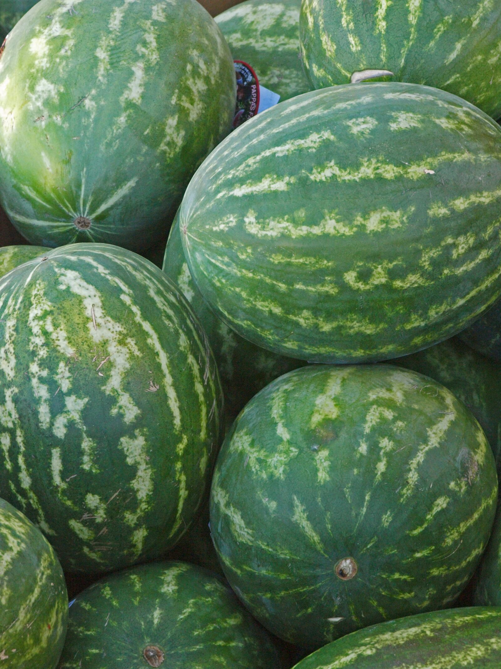 Olympus E-3 sample photo. Food, vegetable, flora photography
