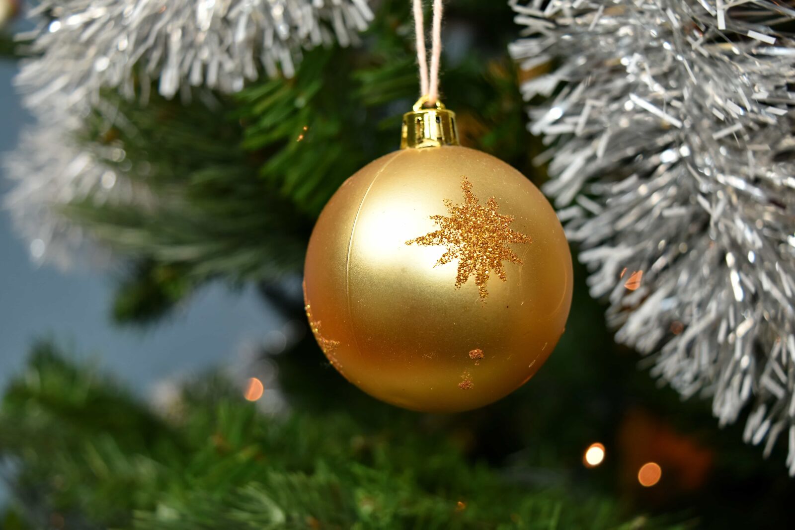 Nikon D5500 sample photo. Christmas tree, golden glow photography