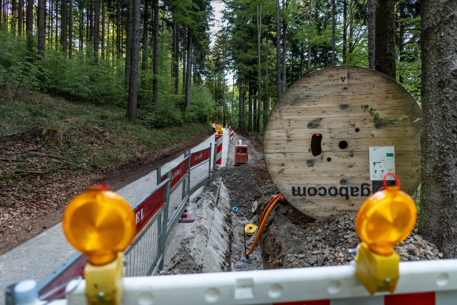 Nikon D810 sample photo. Glass fiber, forest, site photography