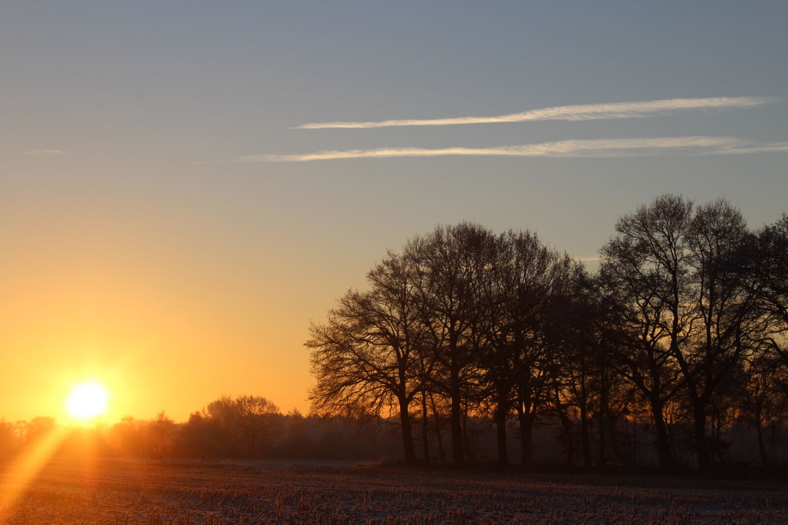 Canon EOS 1200D (EOS Rebel T5 / EOS Kiss X70 / EOS Hi) sample photo. Sunrise, winter, sun photography