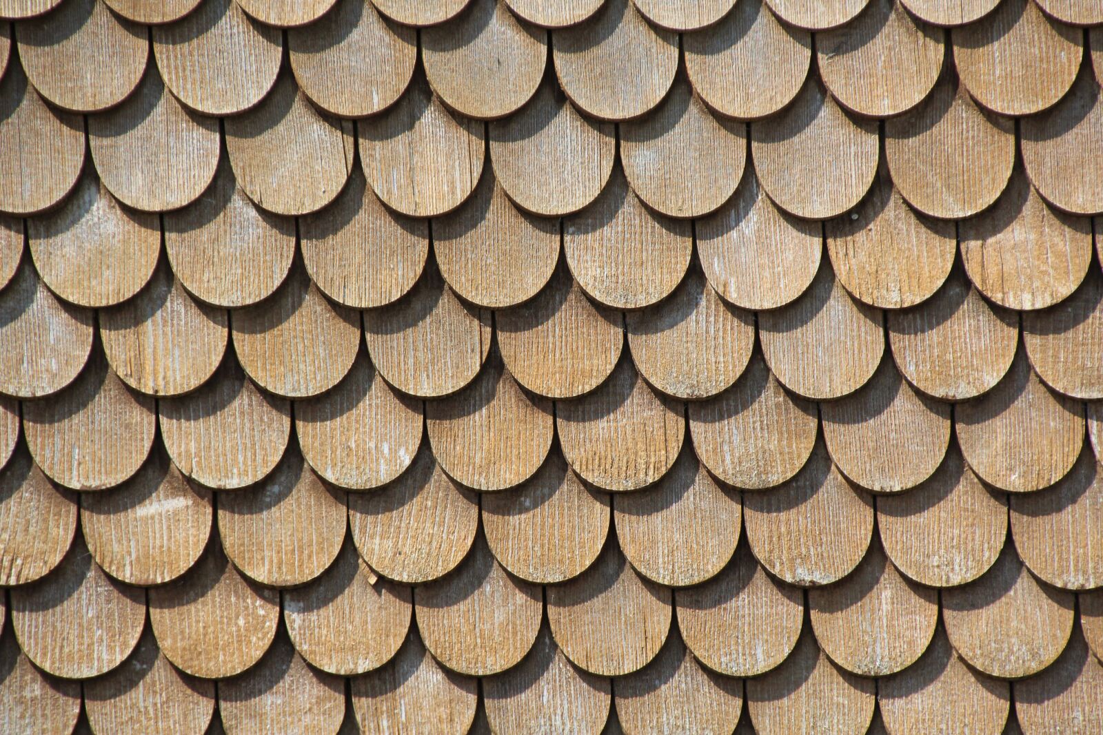 Canon EOS 1200D (EOS Rebel T5 / EOS Kiss X70 / EOS Hi) sample photo. Wood paneling, gold, wood photography